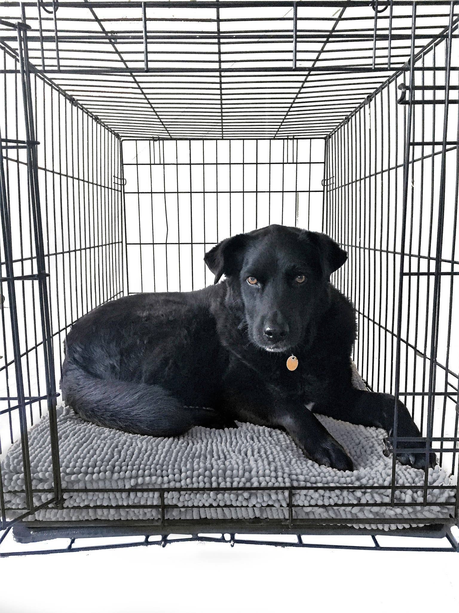 Soggy Doggy Doormat - Soggy Doggy Crate Mate: Grey: X-Large 28x42" - MaisonBeach