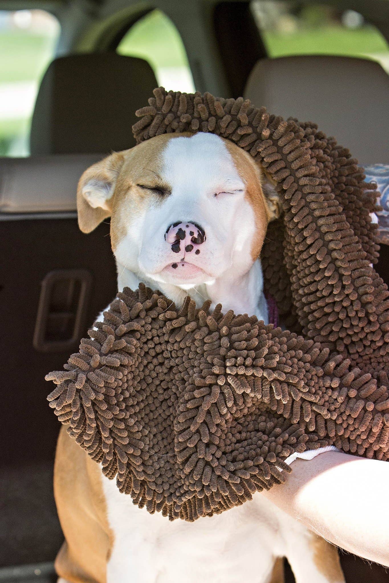 Soggy Doggy Doormat - Soggy Doggy Super Shammy: Dark Chocolate