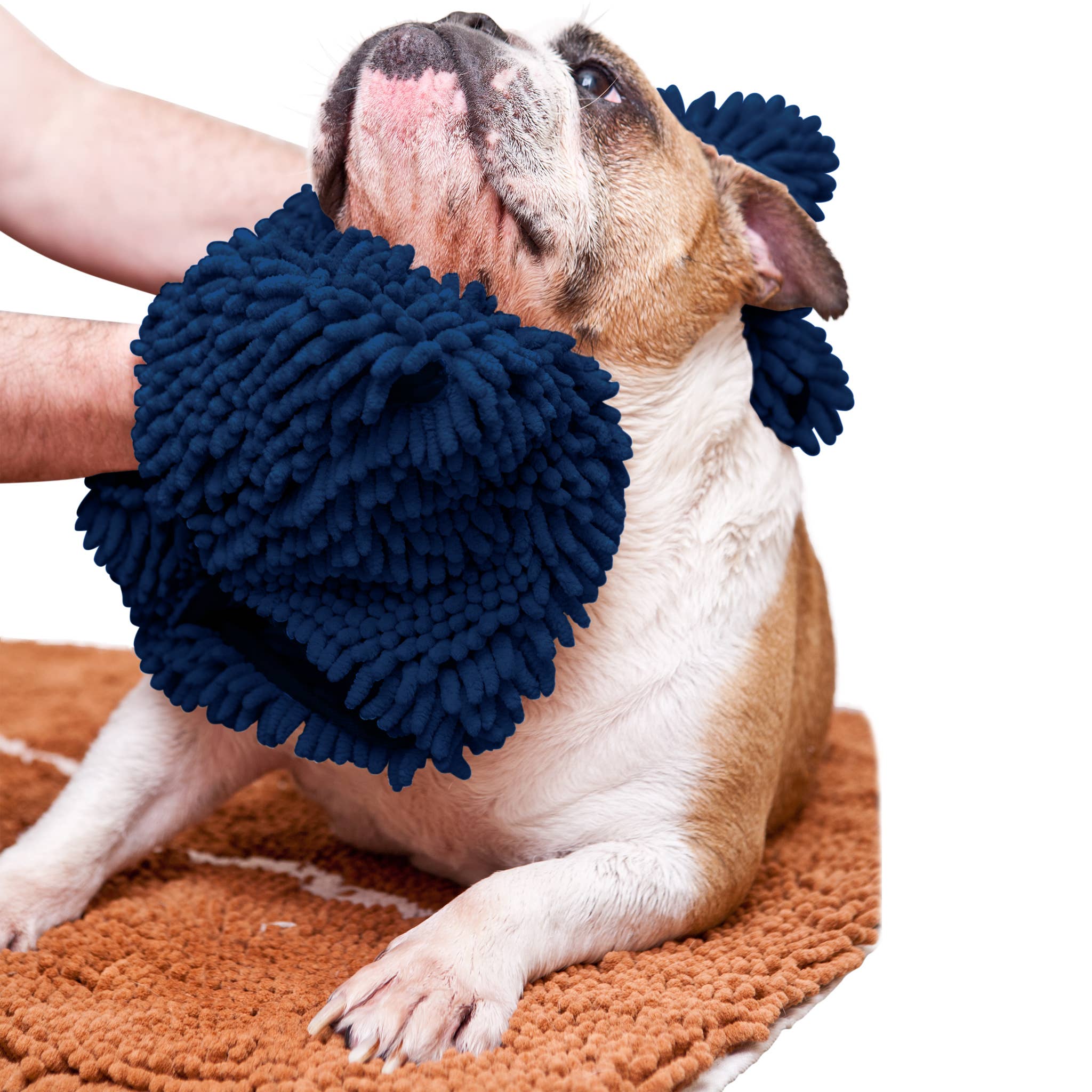 Soggy Doggy Doormat - Soggy Doggy Super Shammy: Navy Blue - MaisonBeach