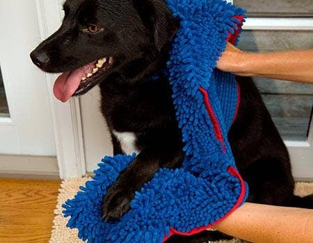 Soggy Doggy Super Shammy: Blue - MaisonBeach