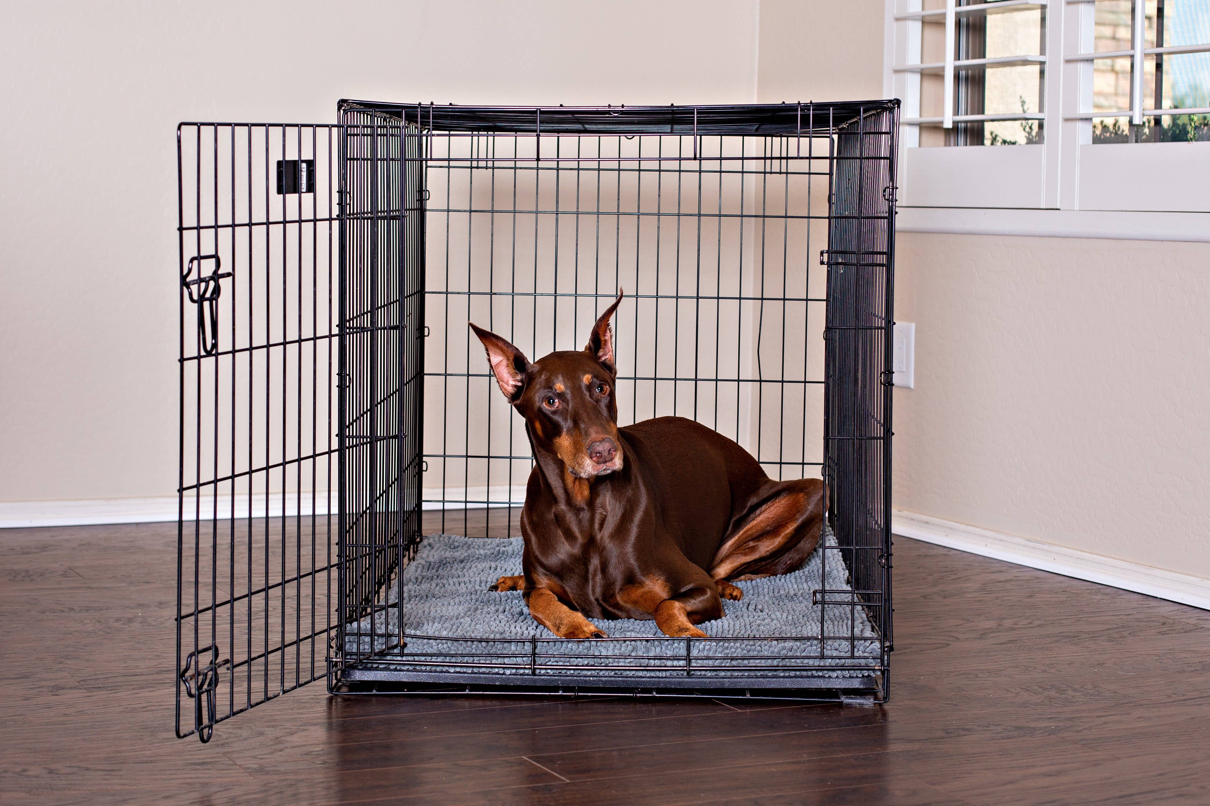 Soggy Doggy Doormat - Soggy Doggy Crate Mate: Grey: X-Large 28x42" - MaisonBeach
