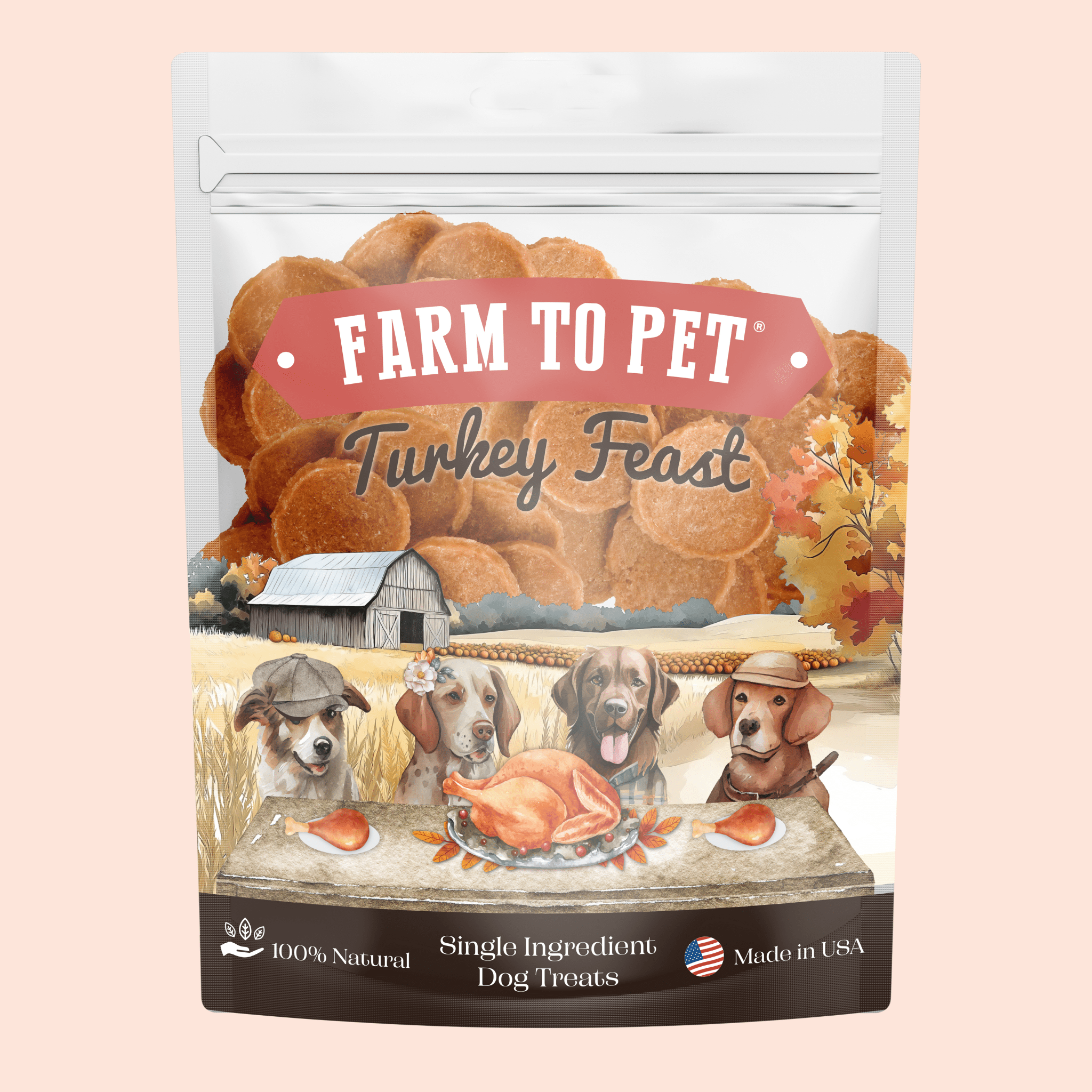 Turkey Feast Chips - MaisonBeach