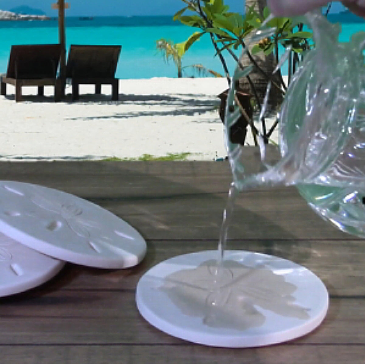 Junonia Shell Drink Coasters - MaisonBeach