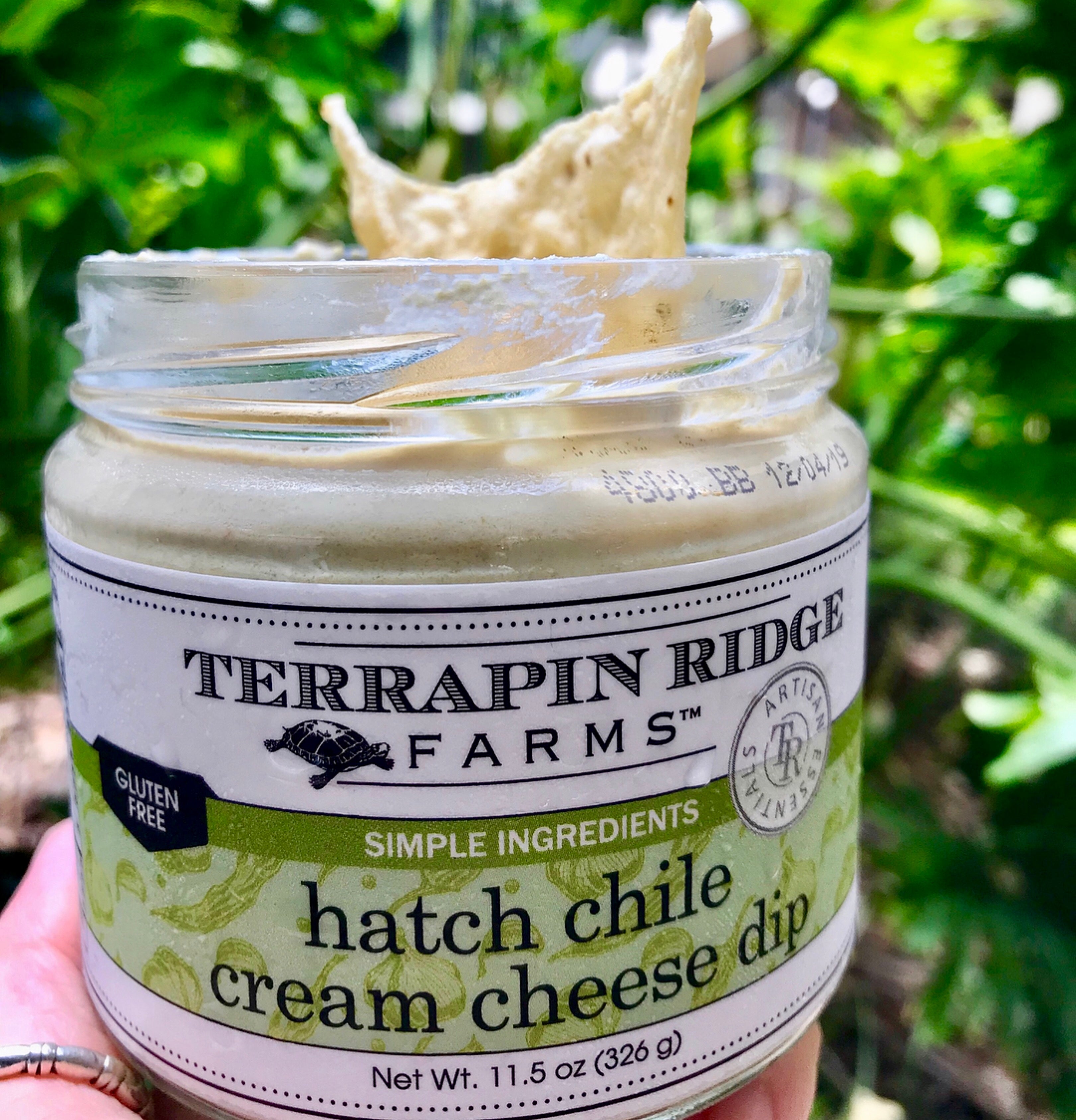Hatch Chile Cream Cheese Dip - MaisonBeach