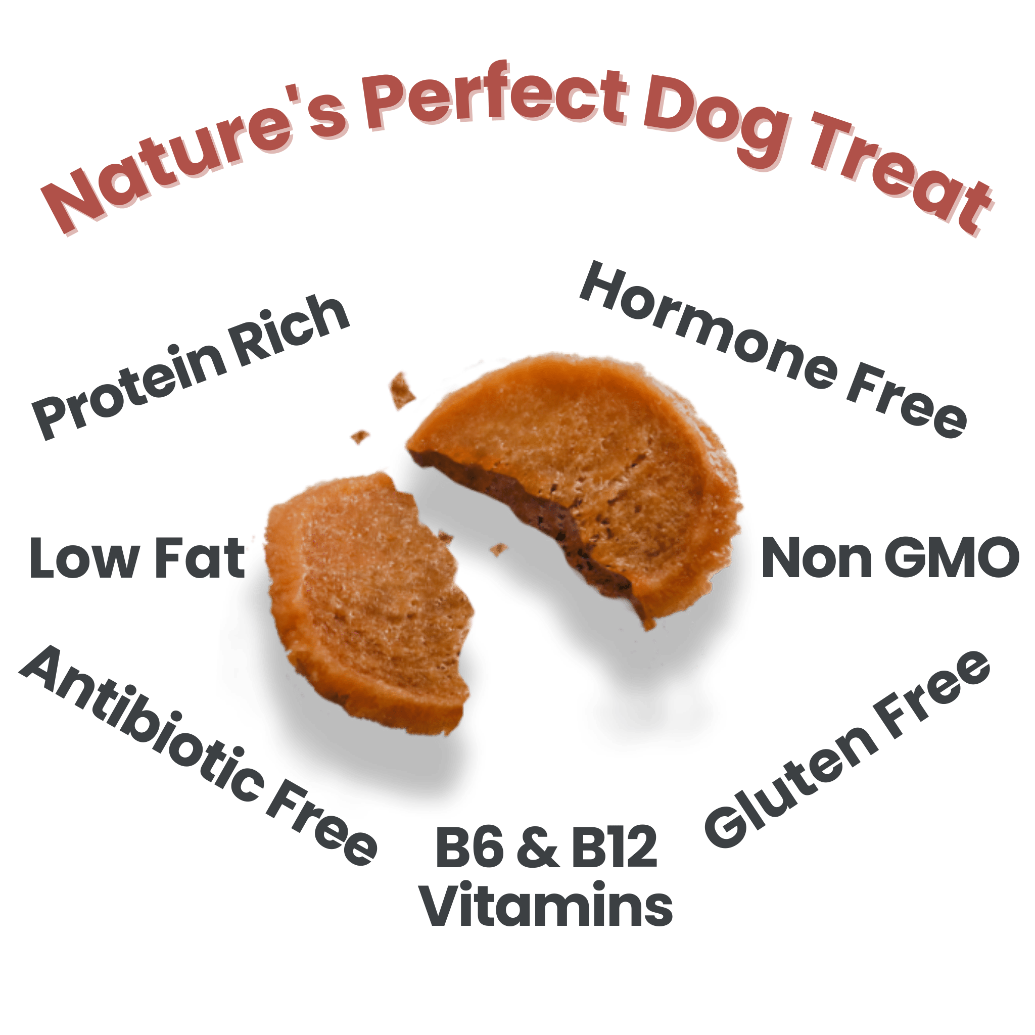 Farm to Pet - Turkey Chips: 12oz - MaisonBeach