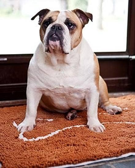 Large Caramel Brown Absorbent Doormat - MaisonBeach