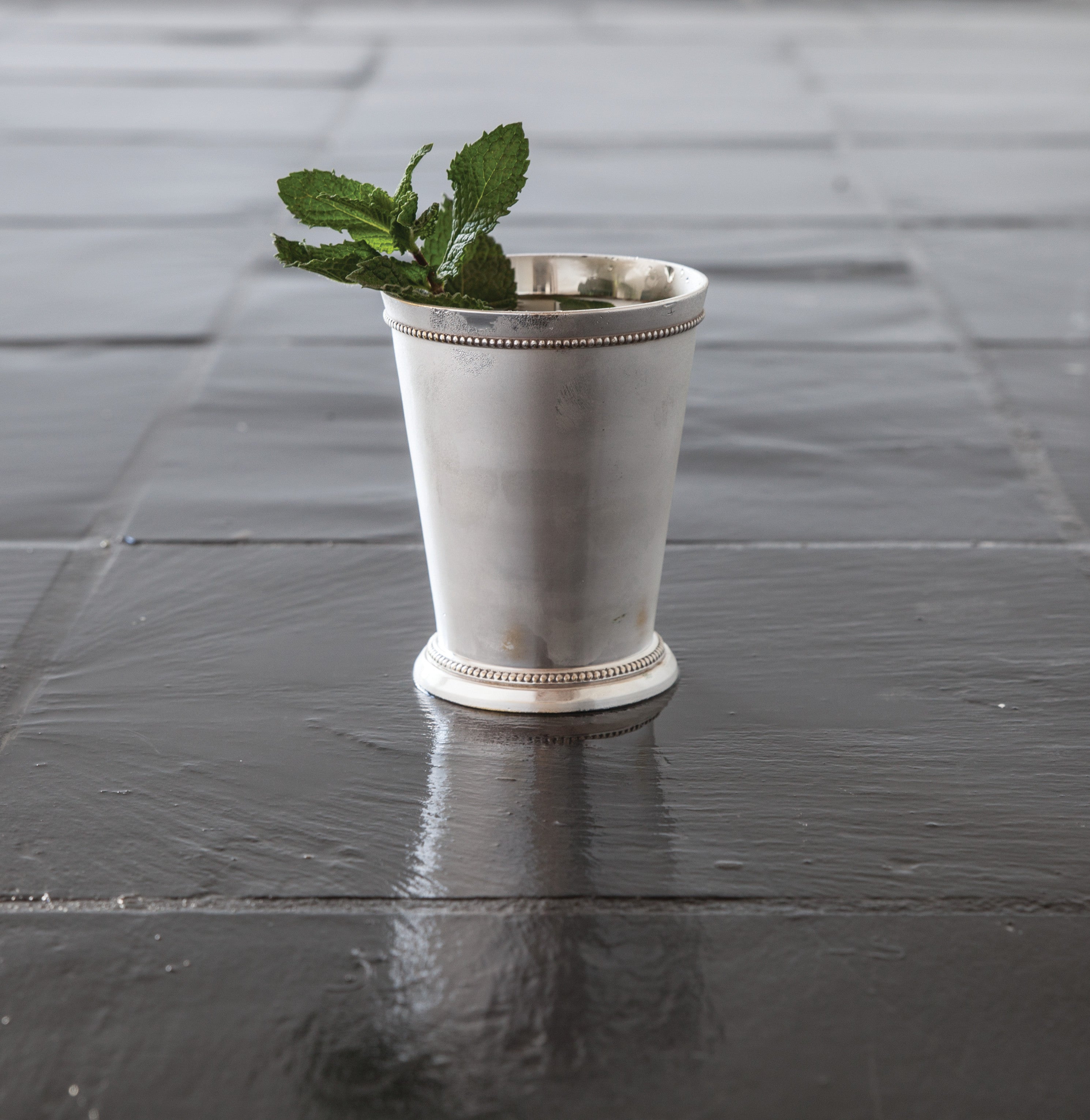 Mint Julep Cup - MaisonBeach