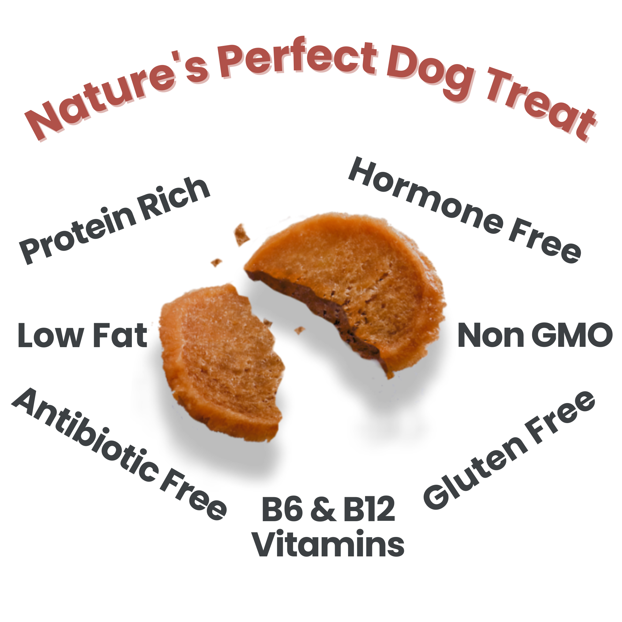 Farm to Pet Healthy Dog Treats - Farm to Pet Chicken Chips Healthy Dog Treats – 2 sizes: 4oz - MaisonBeach