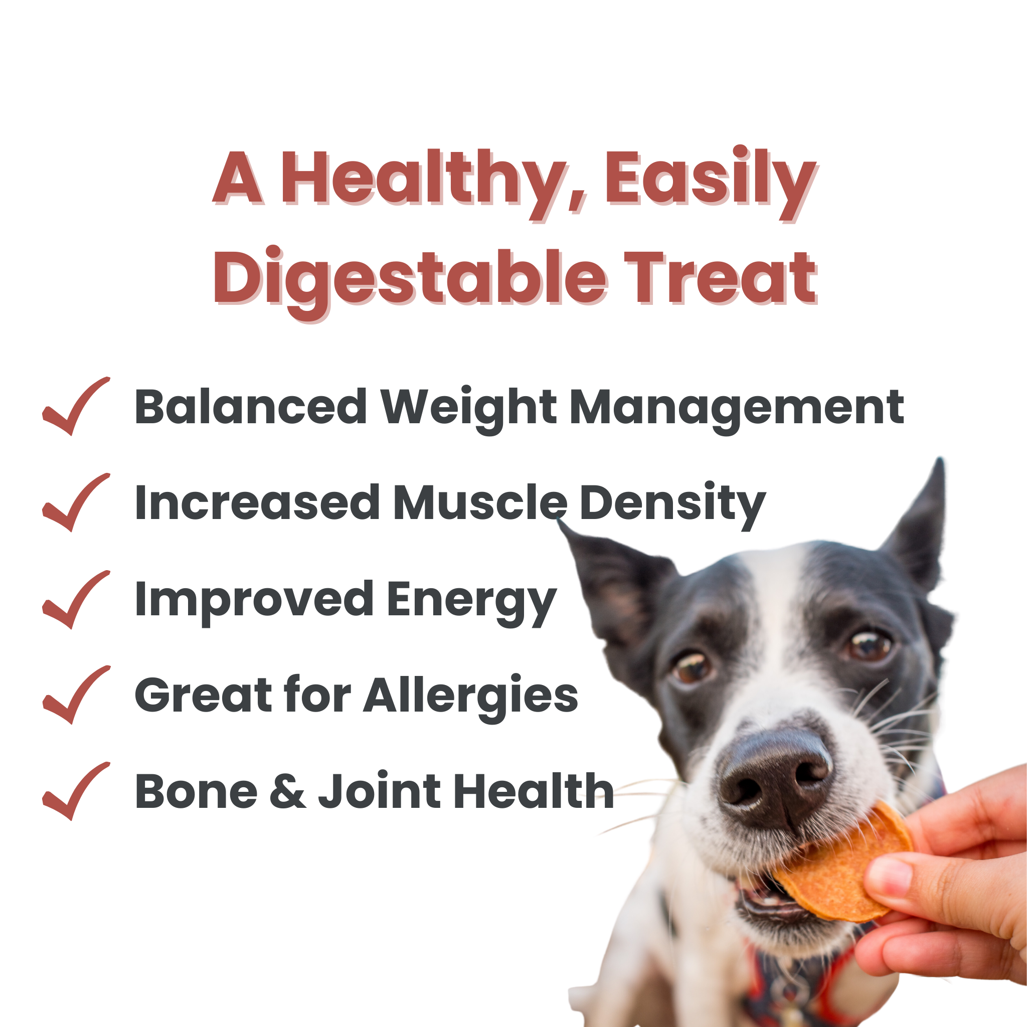 Farm to Pet Healthy Dog Treats - Farm to Pet Chicken Chips Healthy Dog Treats – 2 sizes: 4oz - MaisonBeach