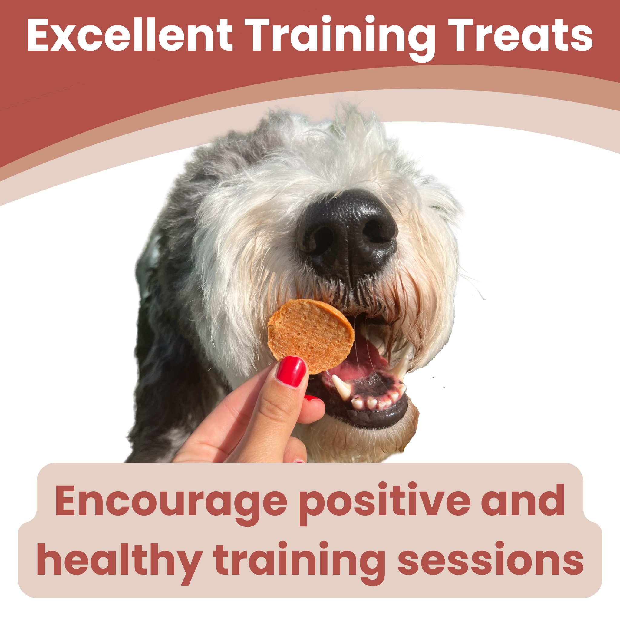 Farm to Pet Healthy Dog Treats - Farm to Pet Chicken Chips Healthy Dog Treats – 2 sizes: 4oz - MaisonBeach