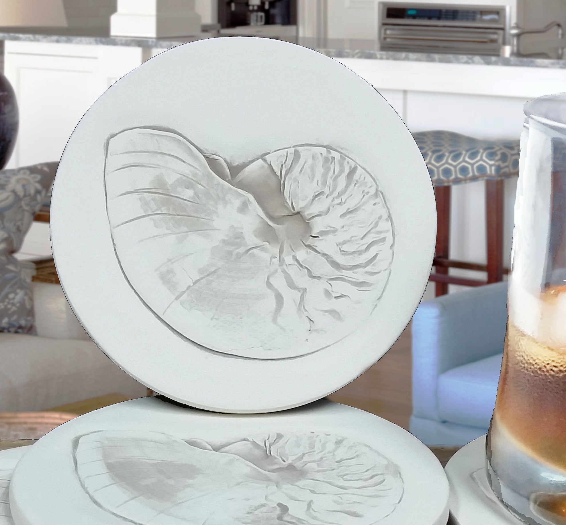 Nautilus Shell Drink Coasters - MaisonBeach