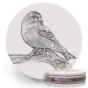 Goldfinch Drink Coasters - MaisonBeach