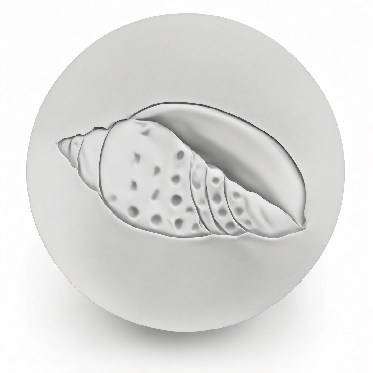 Junonia Shell Drink Coasters - MaisonBeach
