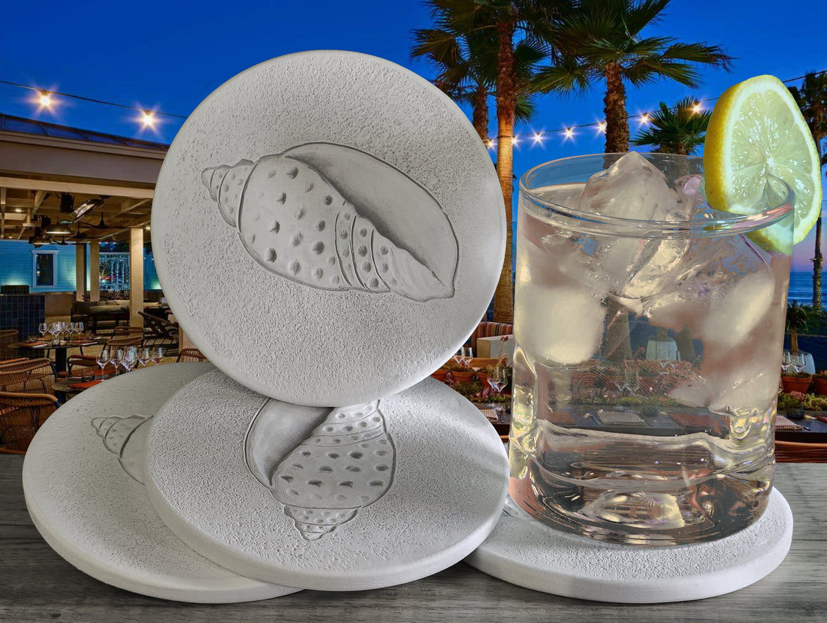 Junonia Shell Drink Coasters - MaisonBeach