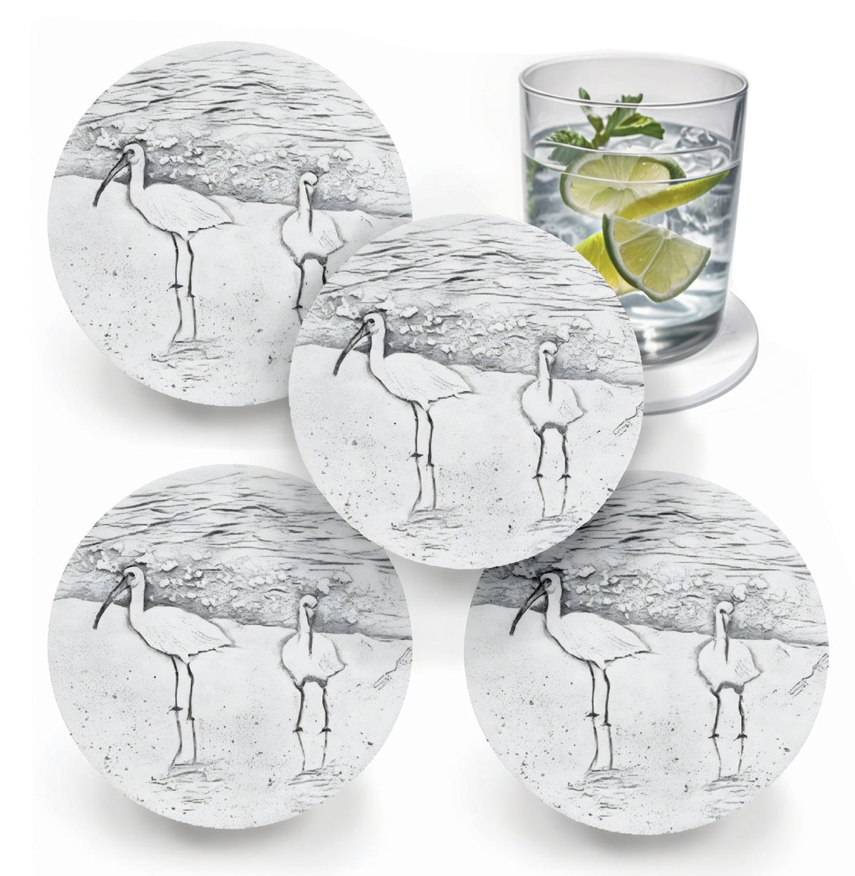 Ibis Birds Drink Coasters - MaisonBeach
