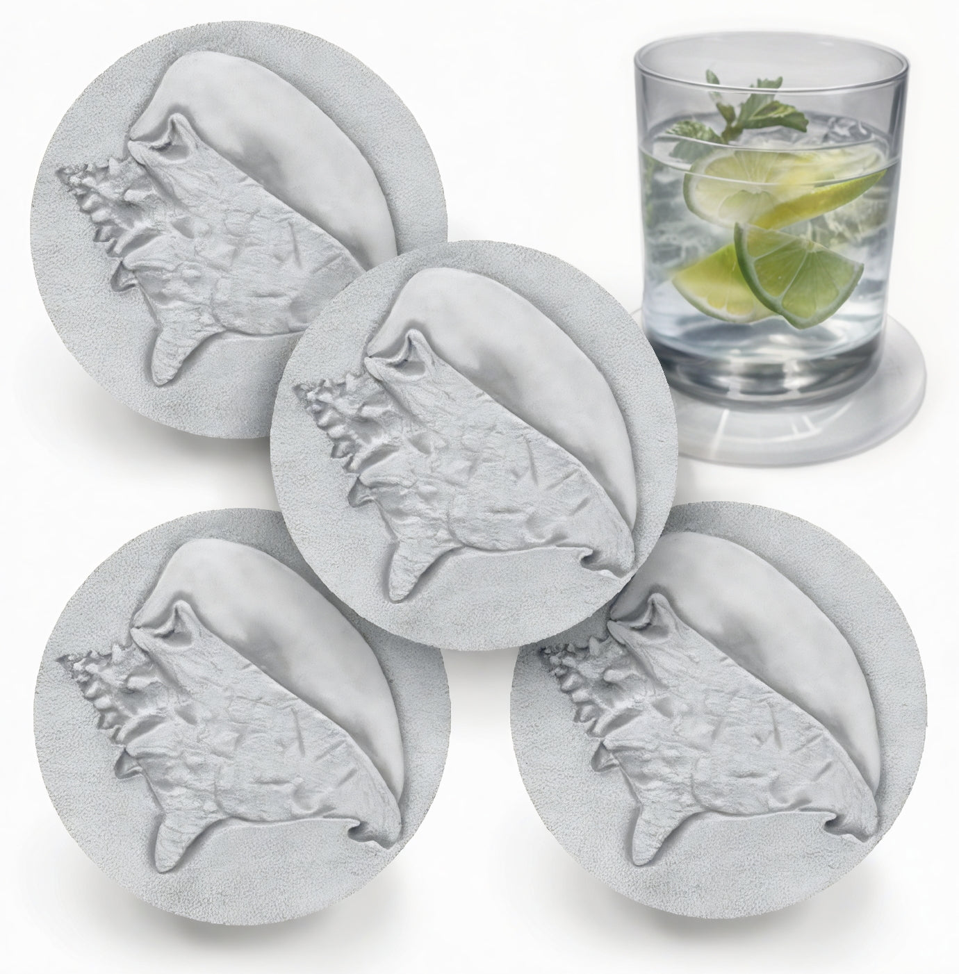 Conch Shell Drink Coasters - MaisonBeach