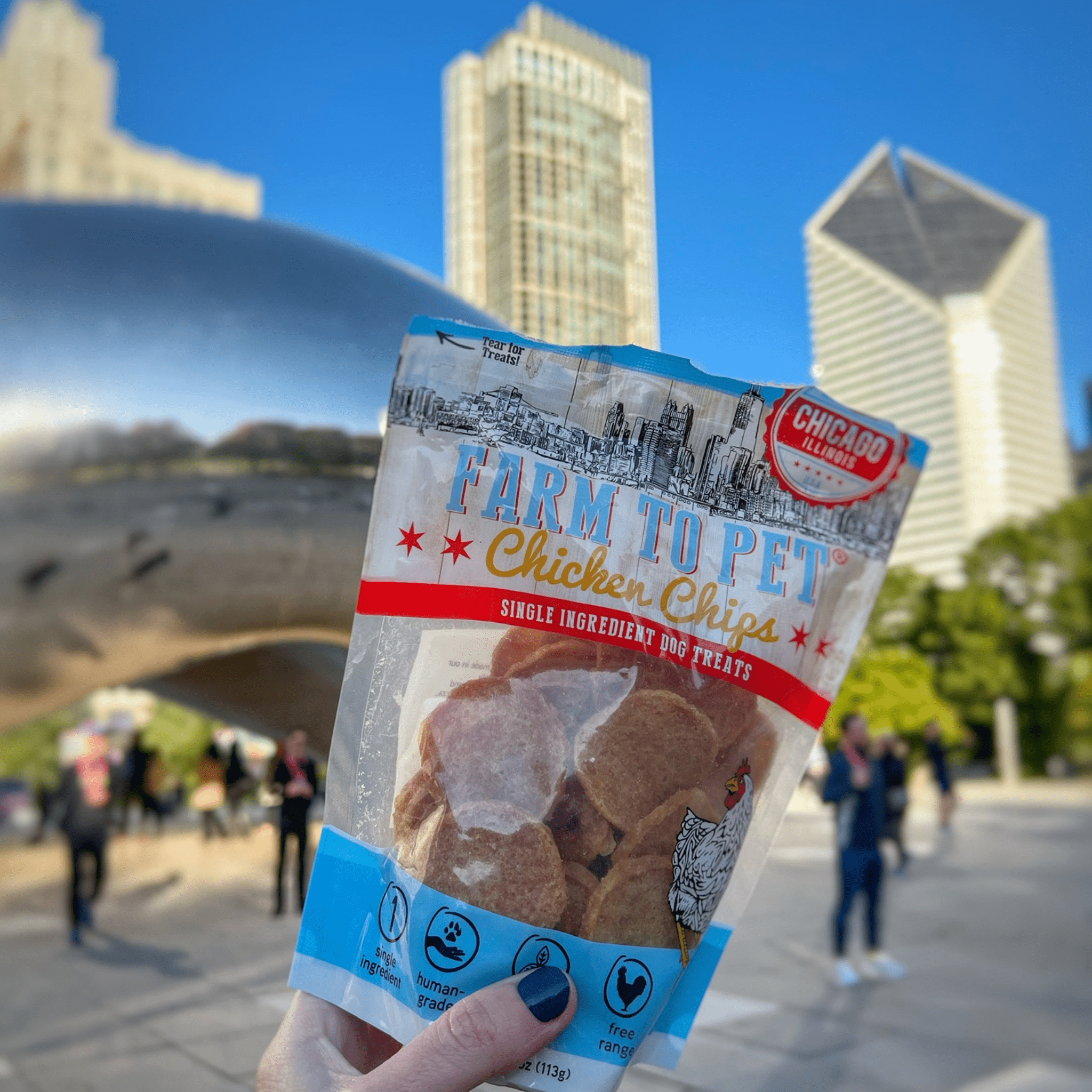Farm to Pet - Chicago Chicken Chips - MaisonBeach