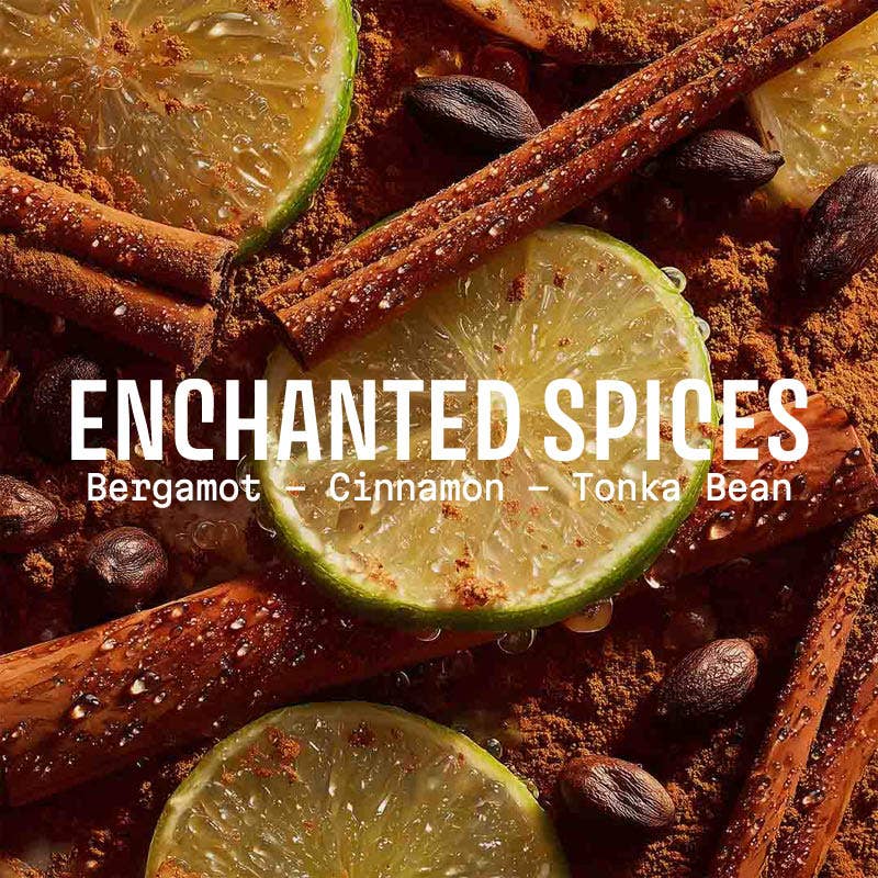 PANIER DES SENS - Enchanted Spices Soap 7oz – Christmas Limited Edition - MaisonBeach