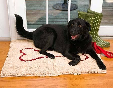 Large Absorbent Beige Doormat