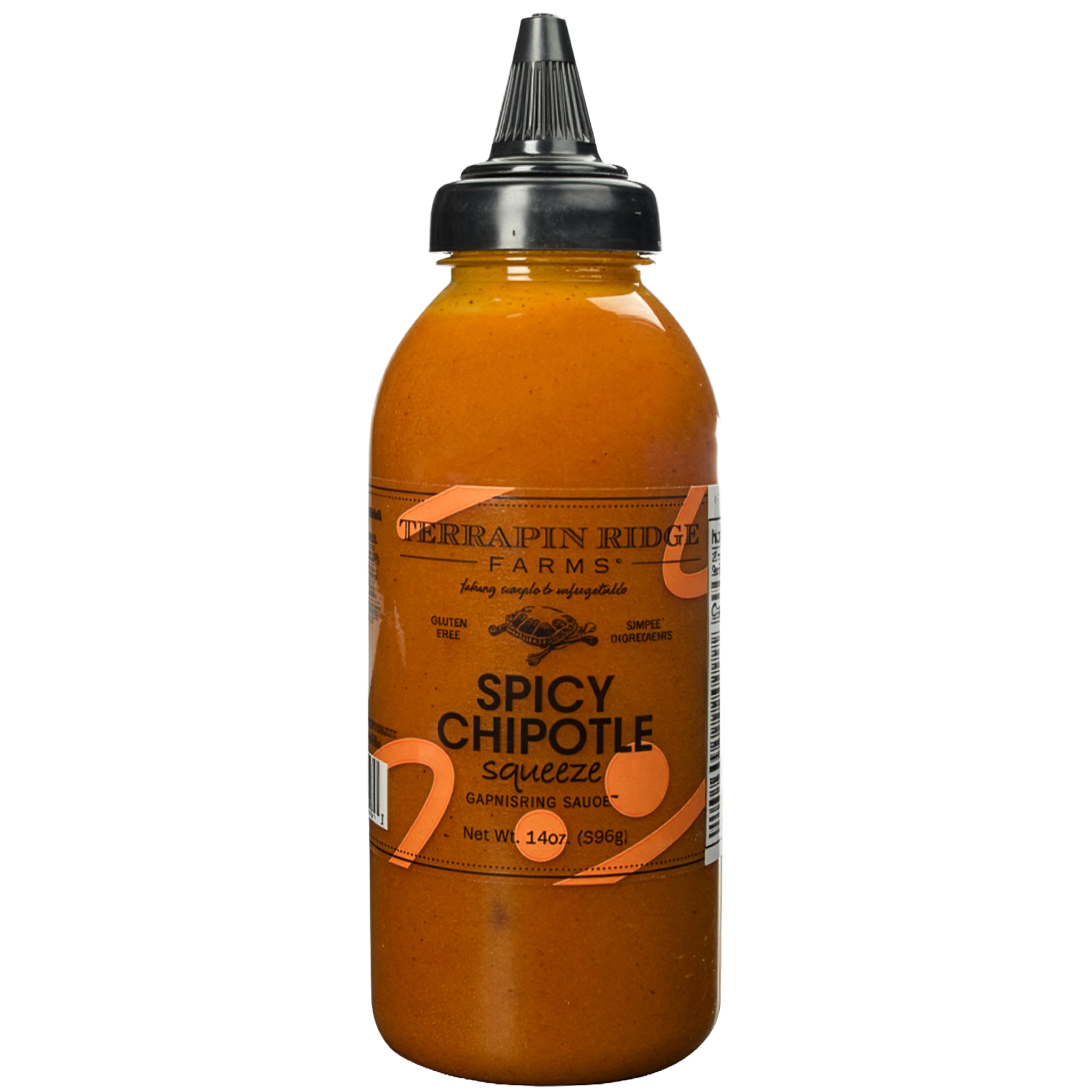 Spicy Chipotle Garnishing Squeeze - 14 oz - MaisonBeach