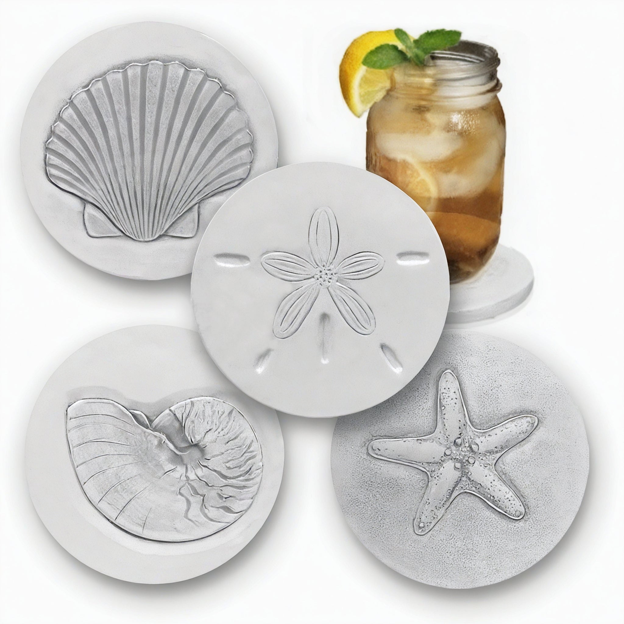 Assorted Shells Drink Coasters