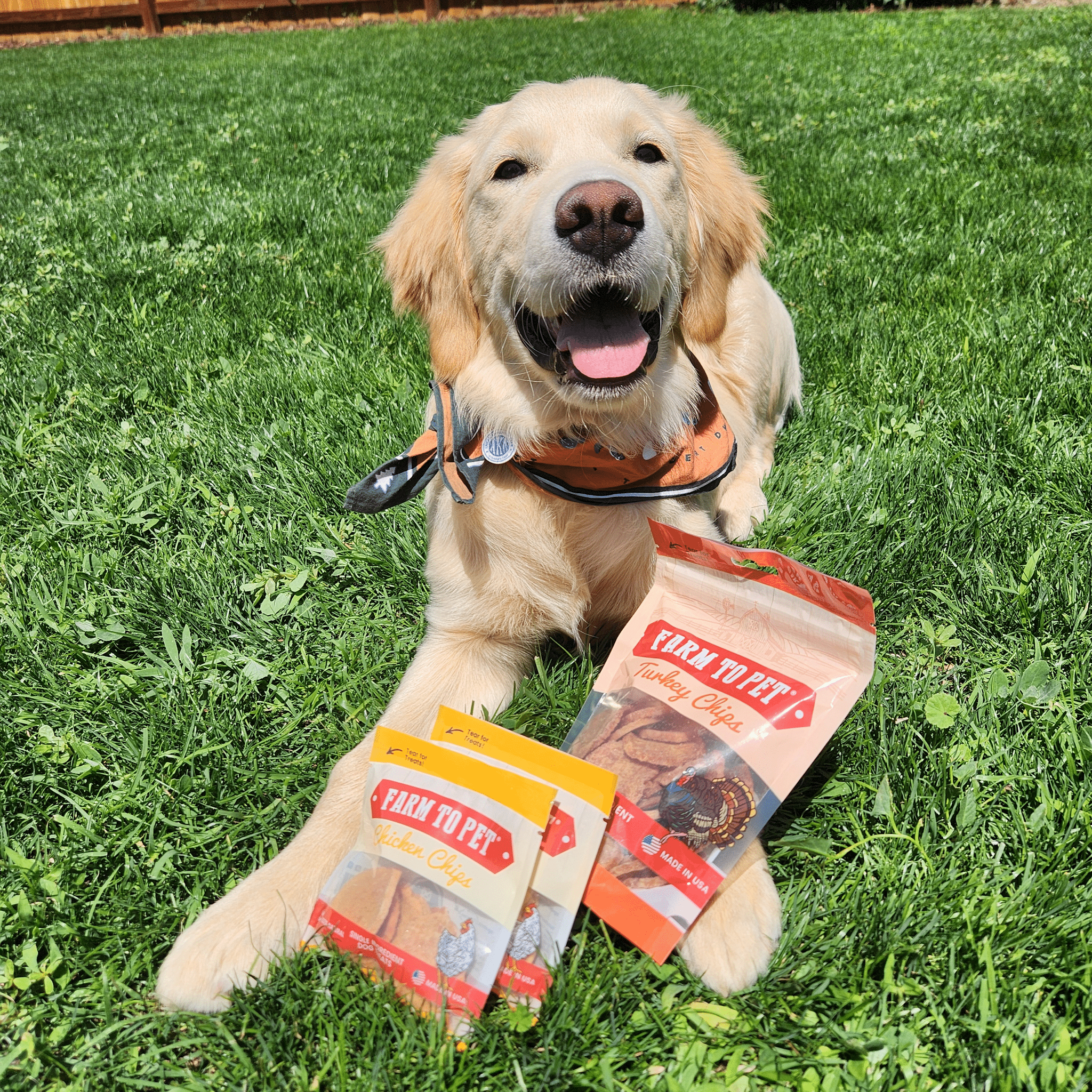 Puppy Packs 'n Snacks Dog Treat Starter Pack | Single-Ingredient Training Treats - MaisonBeach