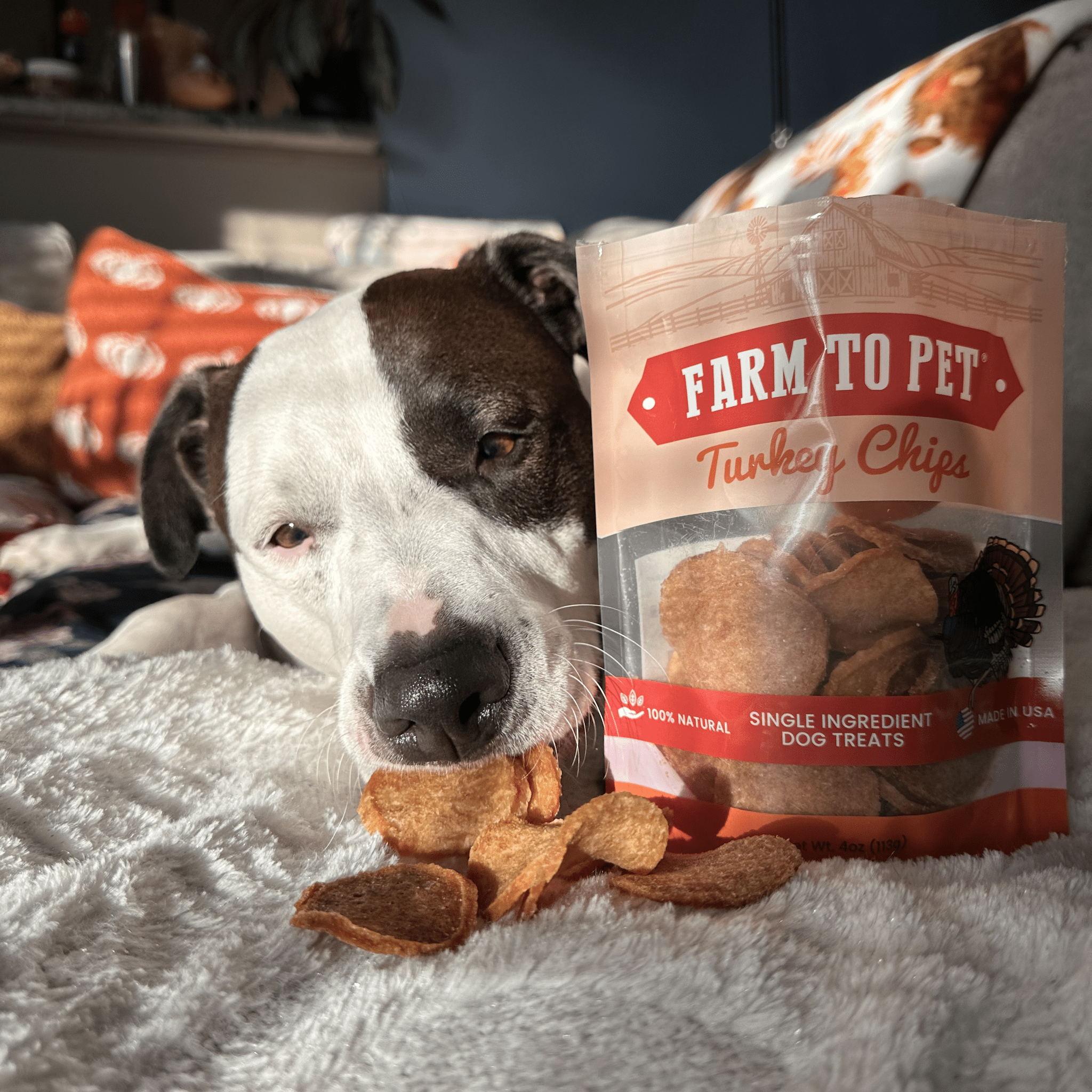 Turkey Chips for Dogs | All-Natural Single-Ingredient Healthy Dog Treats - MaisonBeach