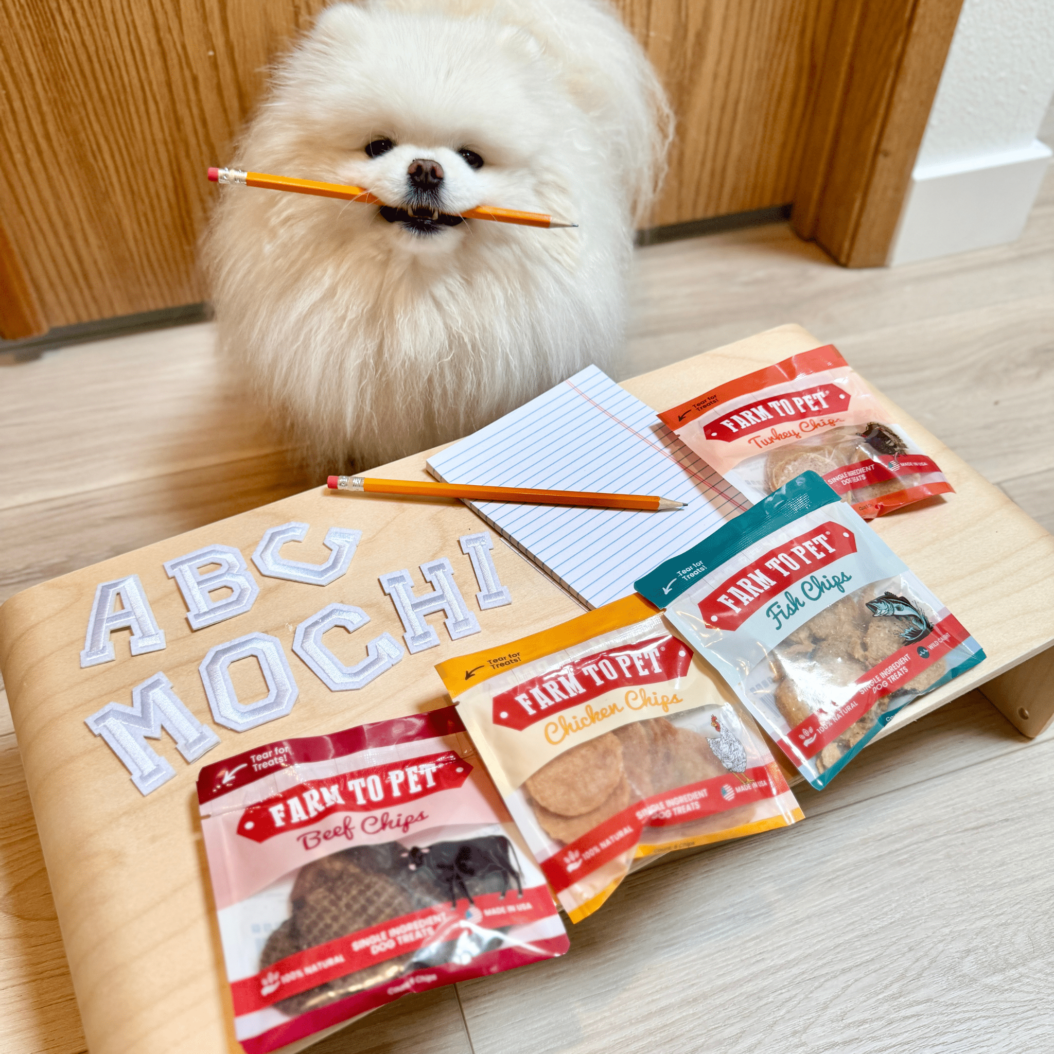 Snack Pack Dog Treat Sampler - MaisonBeach