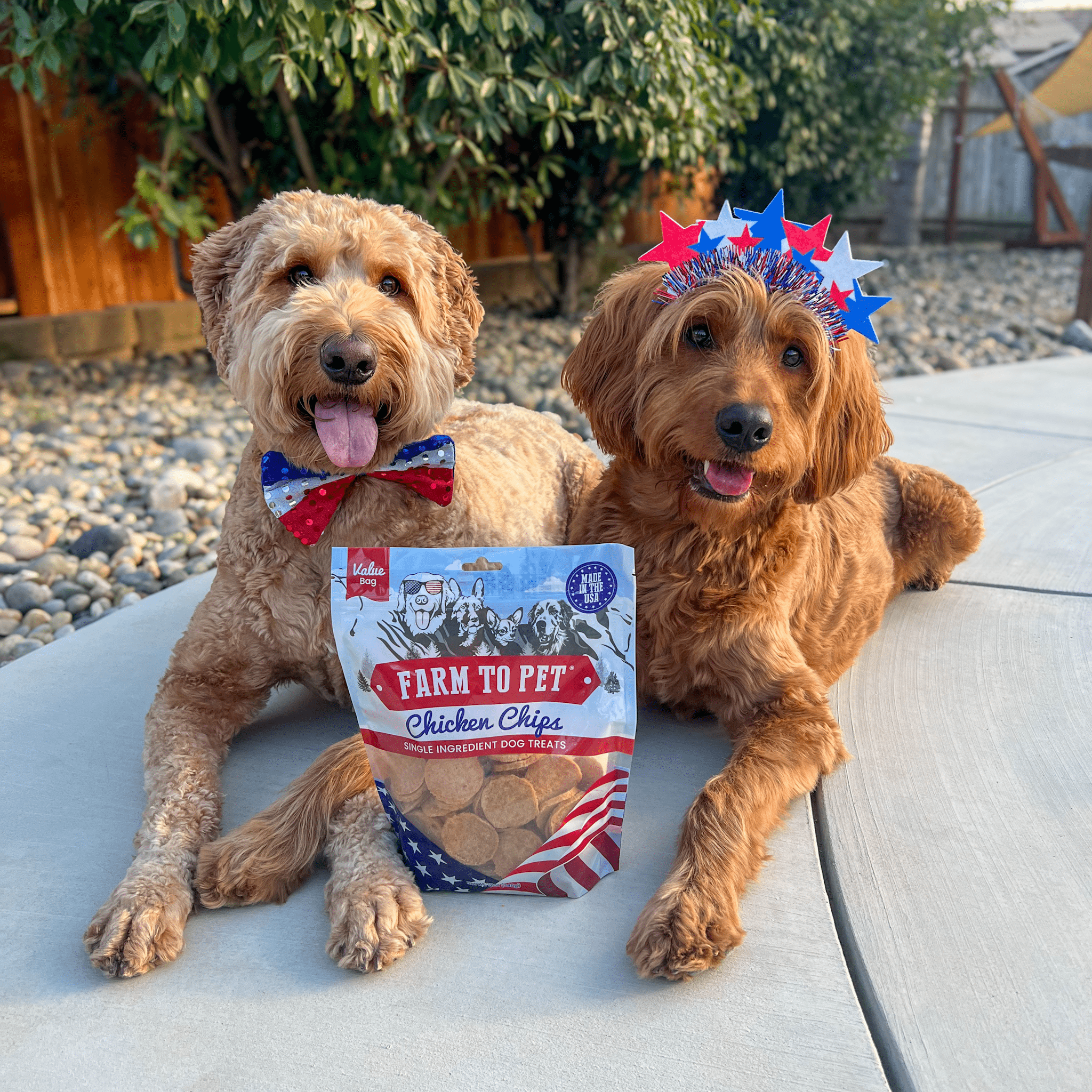 Americana Chicken Chips for Dogs | Celebrate with USA-made Dog Treats - MaisonBeach