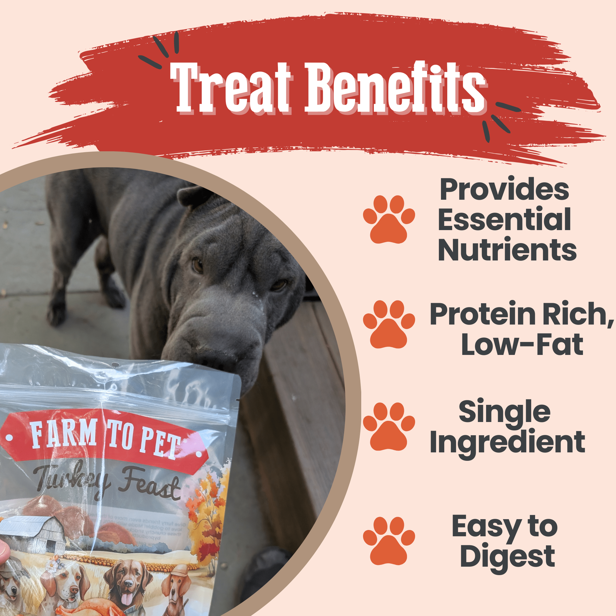 Turkey Feast Chips - MaisonBeach