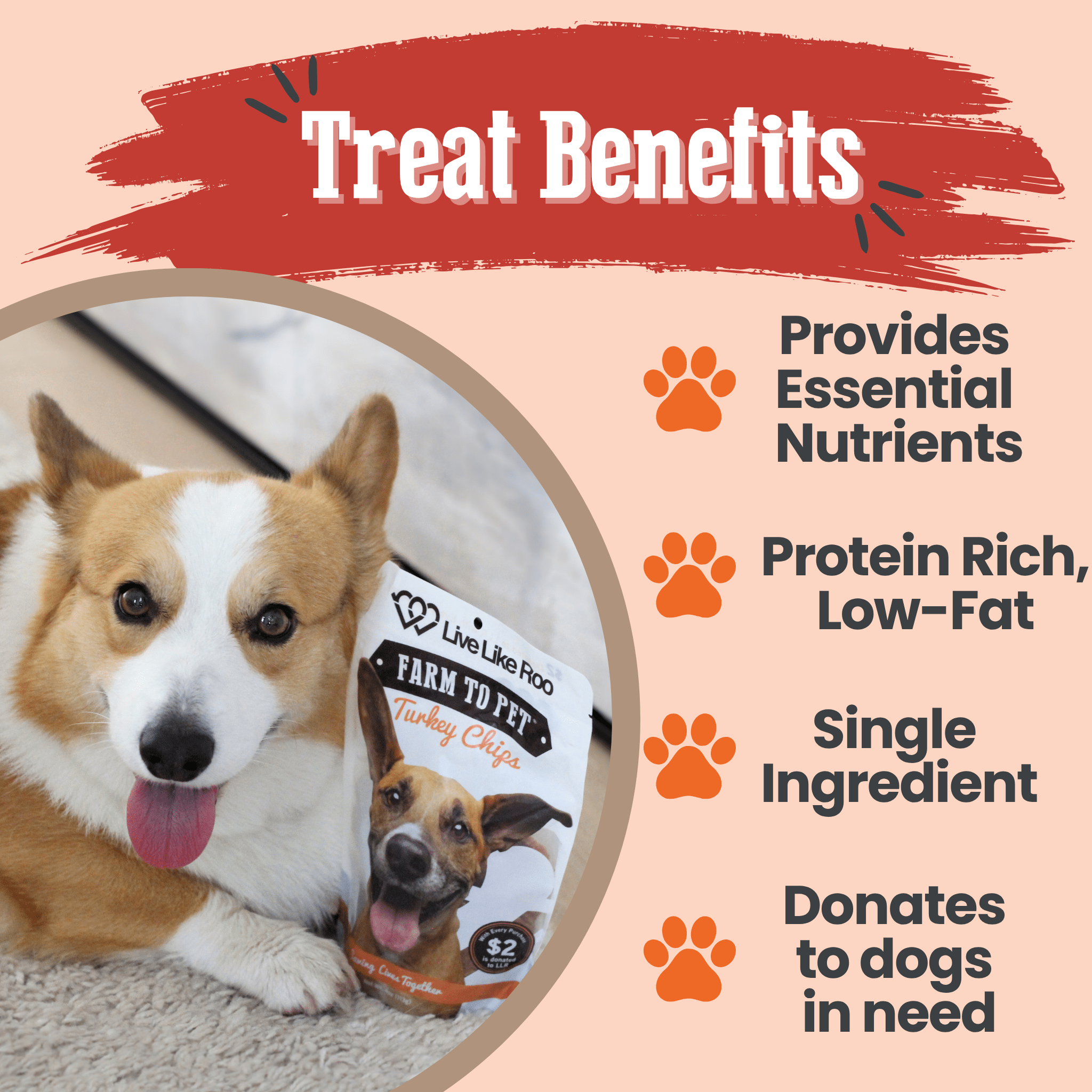 Live Like Roo Turkey Chips for Dogs | Dog Treats That Give Back - MaisonBeach
