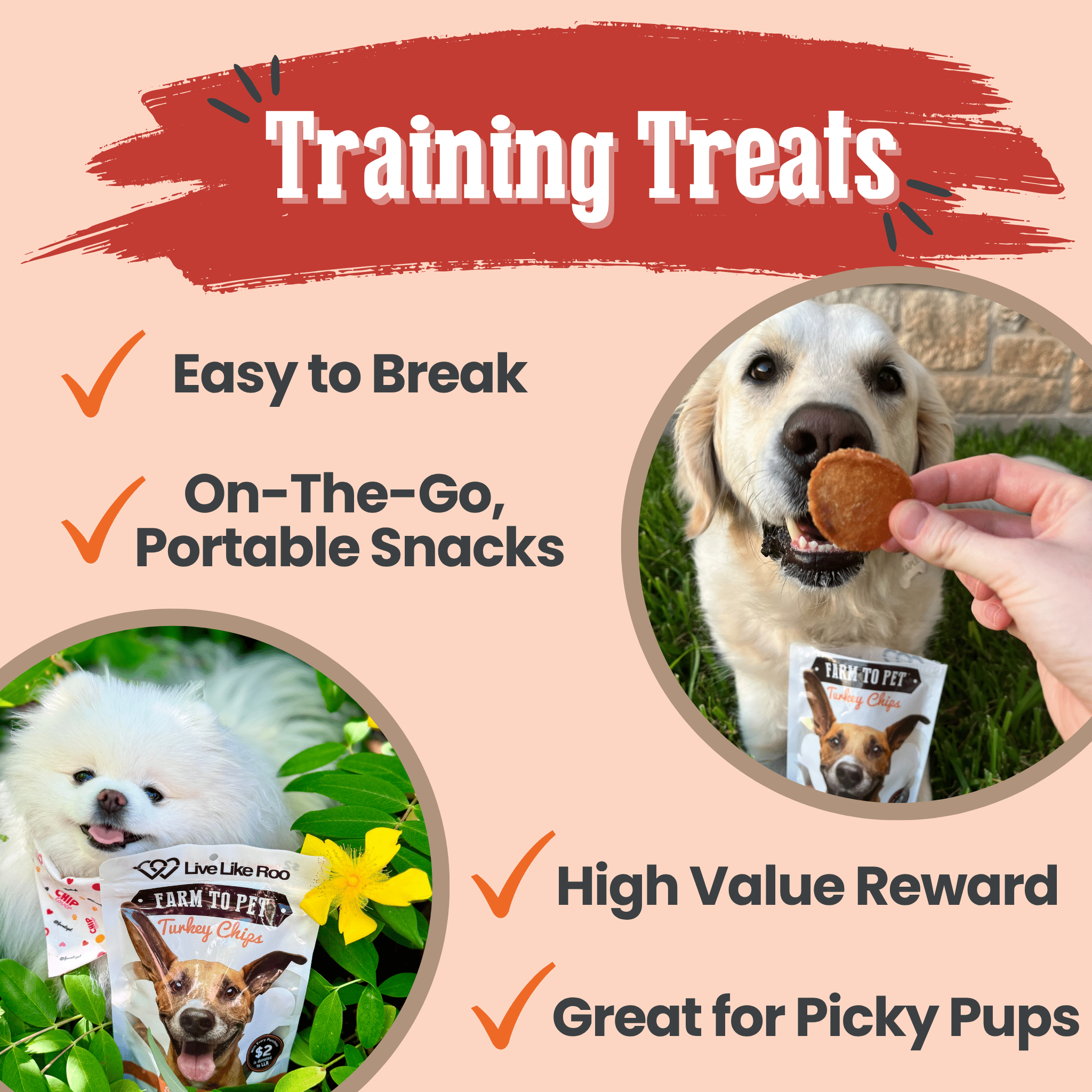 Live Like Roo Turkey Chips for Dogs | Dog Treats That Give Back - MaisonBeach