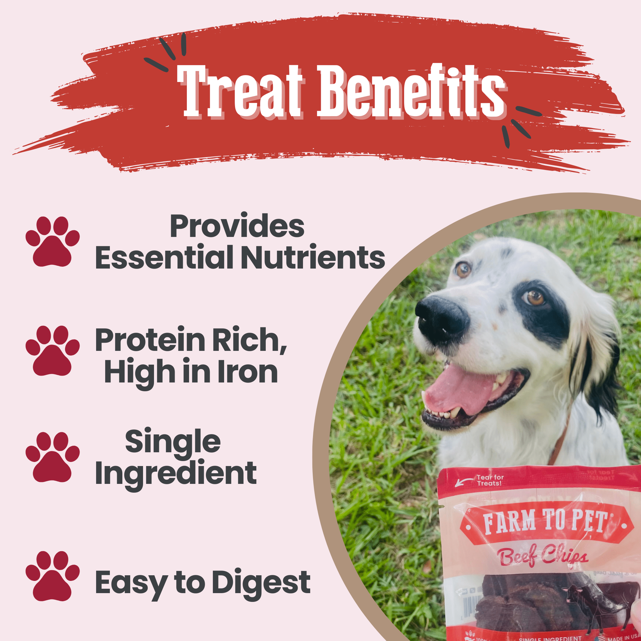 Beef Chips Snack Pack Bundles | Dog Treats for Training & Travel - MaisonBeach