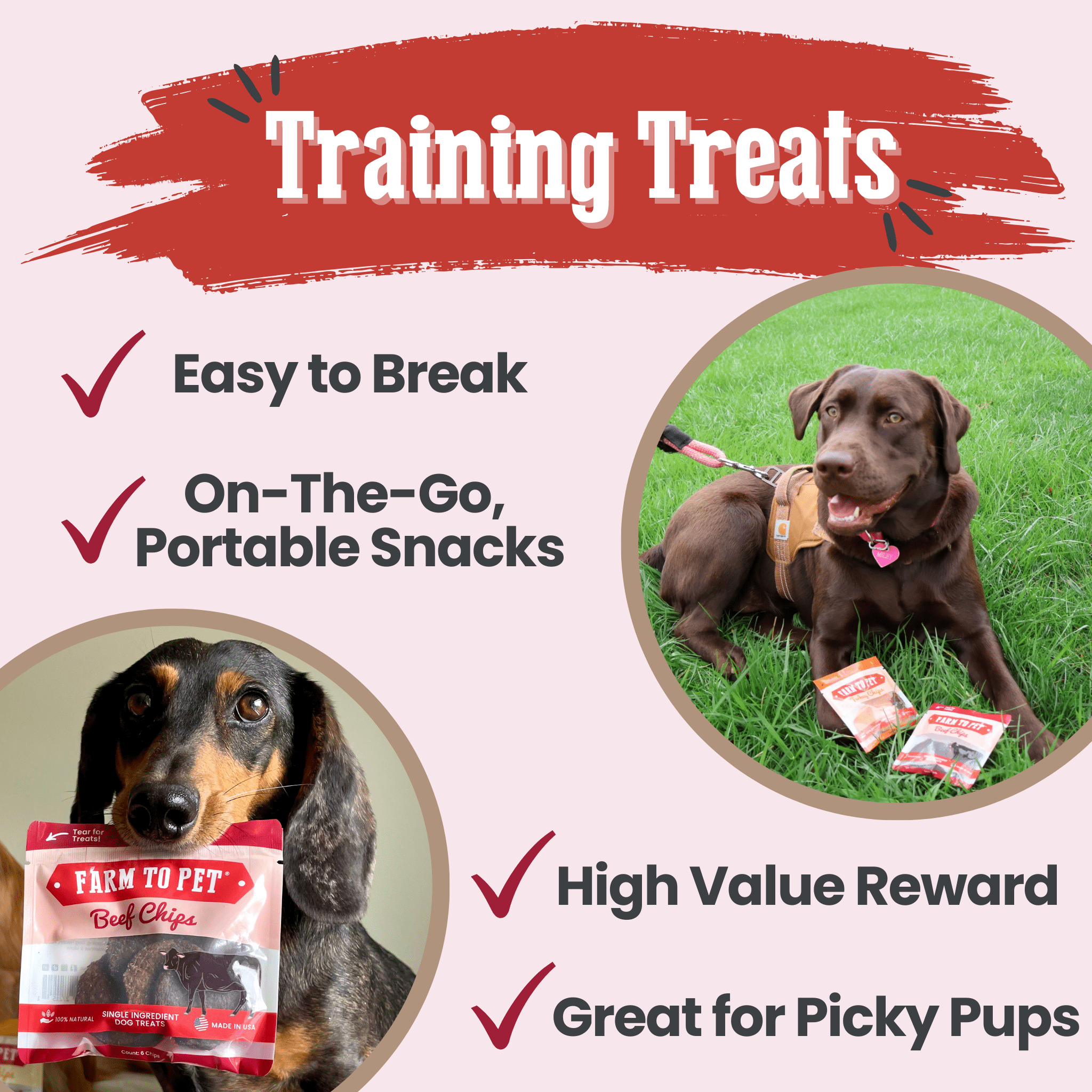 Beef Chips Snack Pack Bundles | Dog Treats for Training & Travel - MaisonBeach