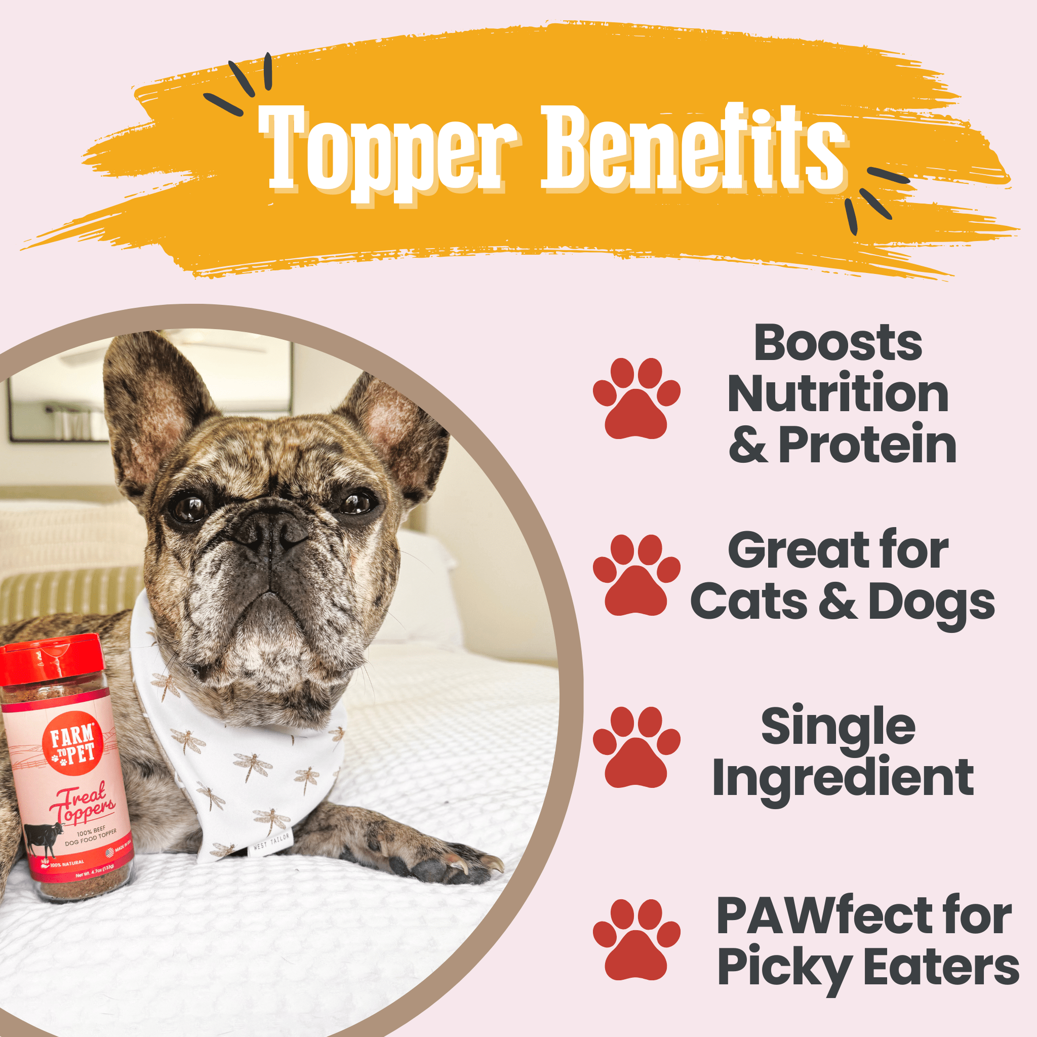 Treat Topper Beef Dog Food Topper | Powdered Meal Topper for Pets - MaisonBeach