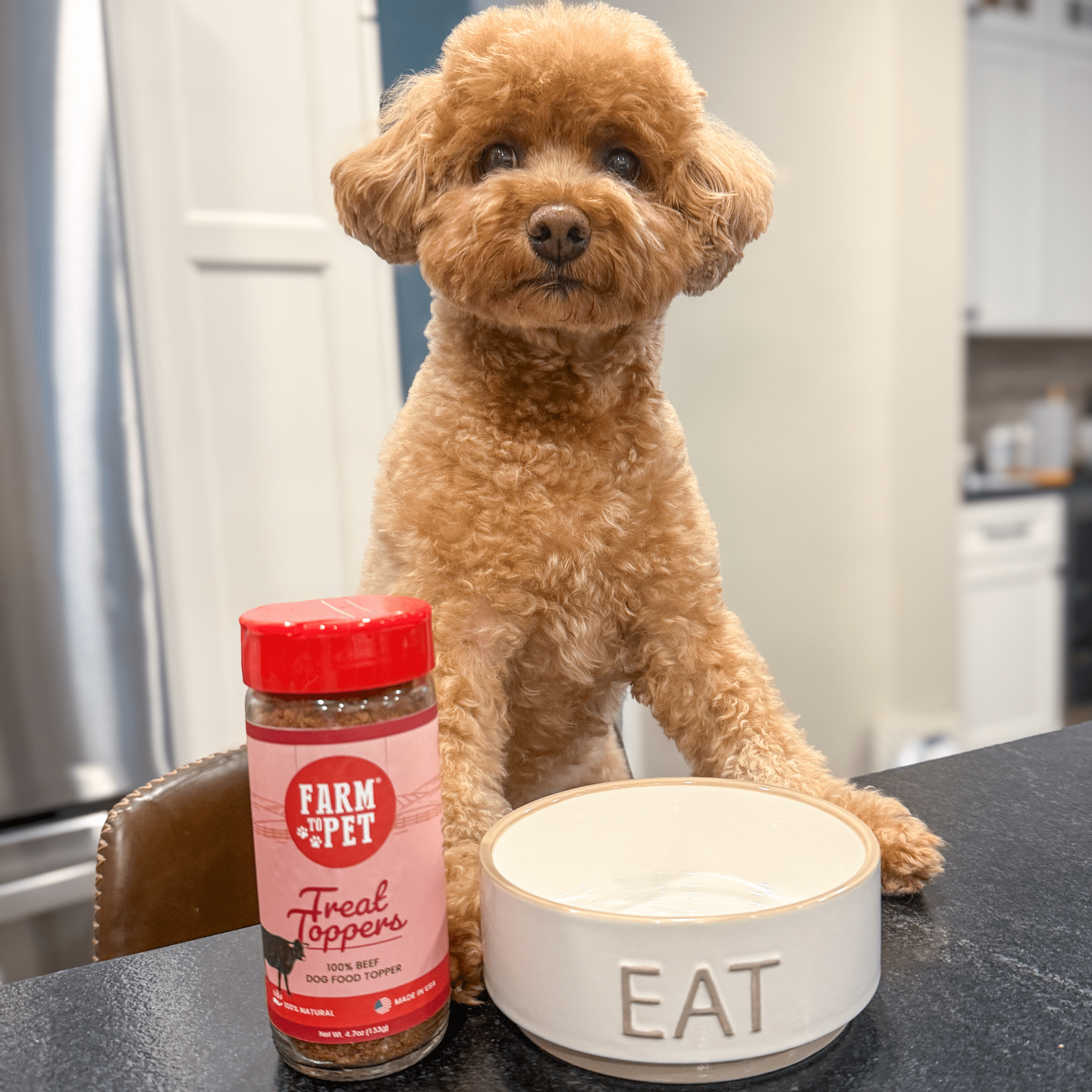 Treat Topper Beef Dog Food Topper | Powdered Meal Topper for Pets - MaisonBeach