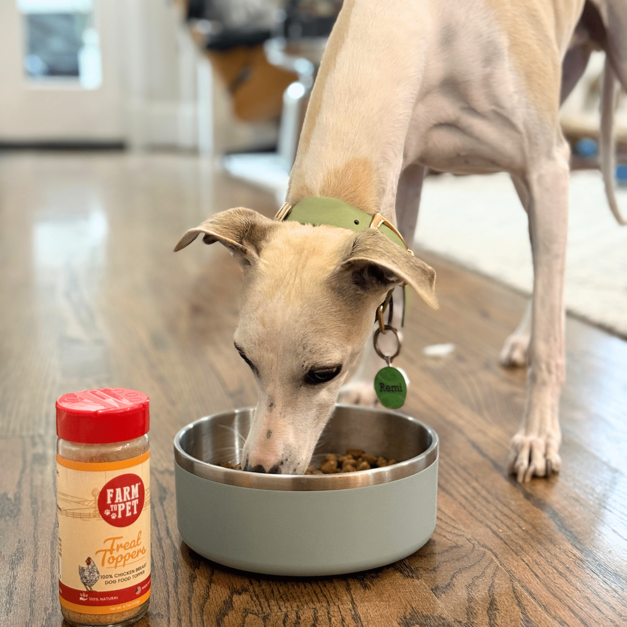 Treat Topper Chicken Dog Food Topper | Healthy Meal Supplement for Dogs - MaisonBeach