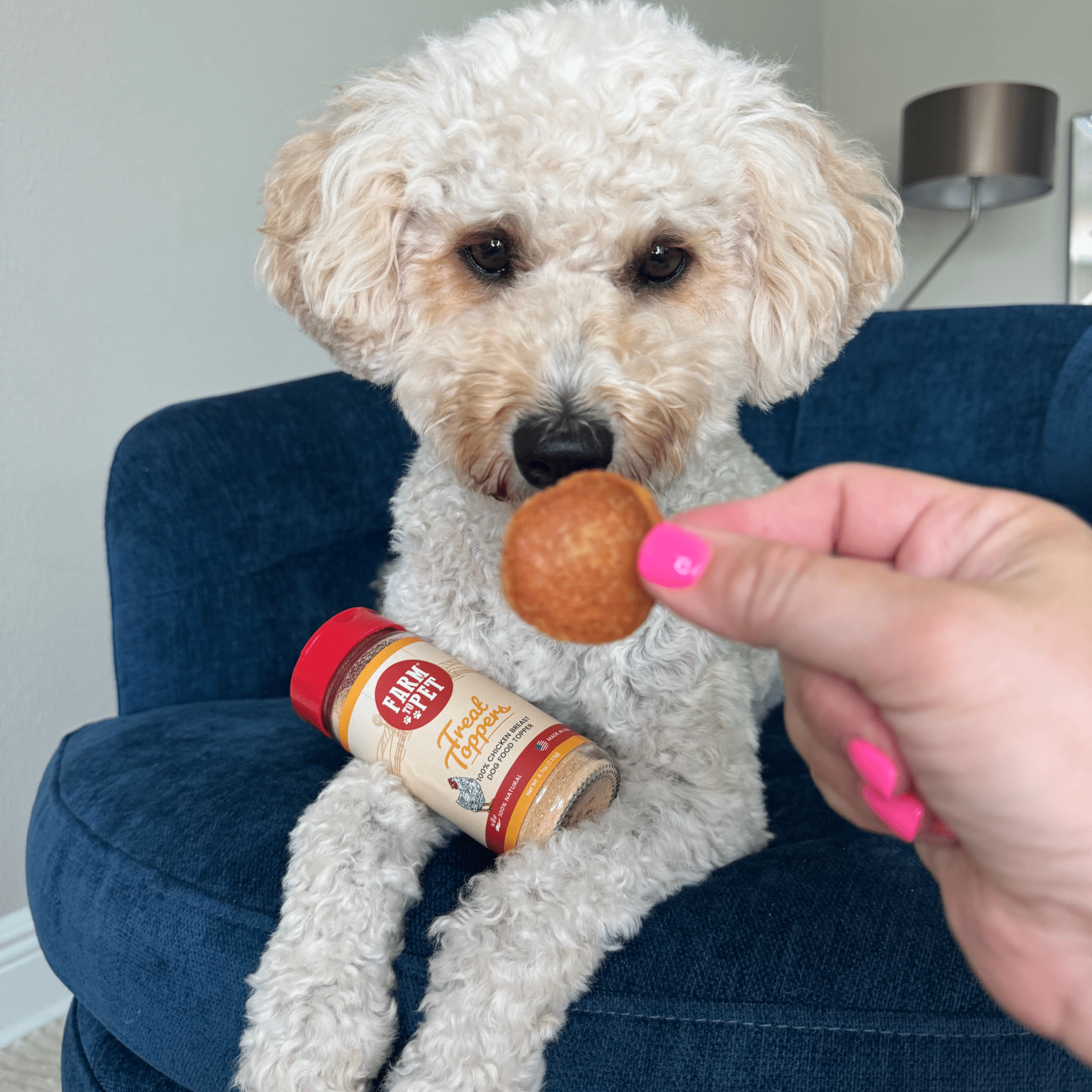 Treat Topper Chicken Dog Food Topper | Healthy Meal Supplement for Dogs - MaisonBeach