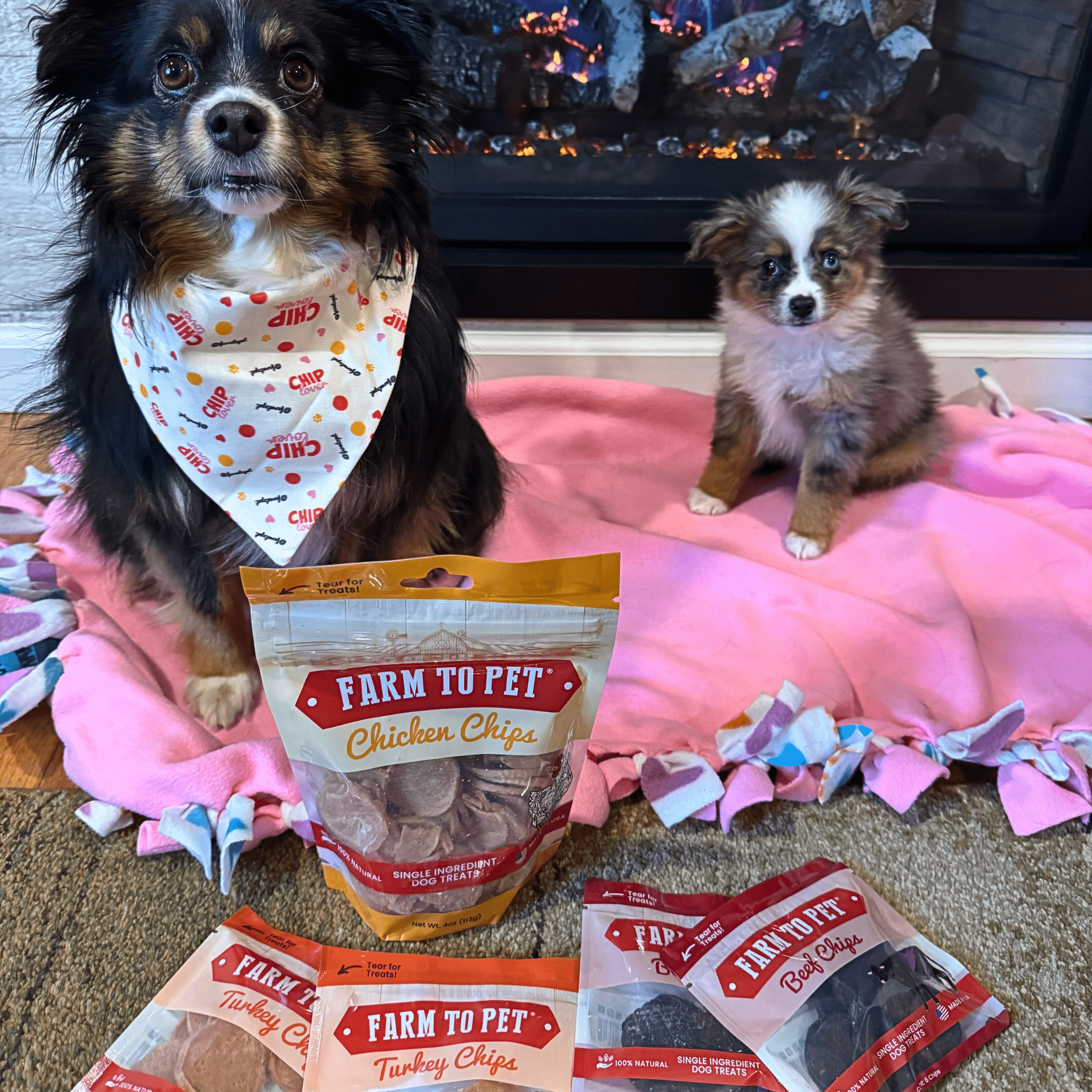 Puppy Packs 'n Snacks Dog Treat Starter Pack | Single-Ingredient Training Treats - MaisonBeach