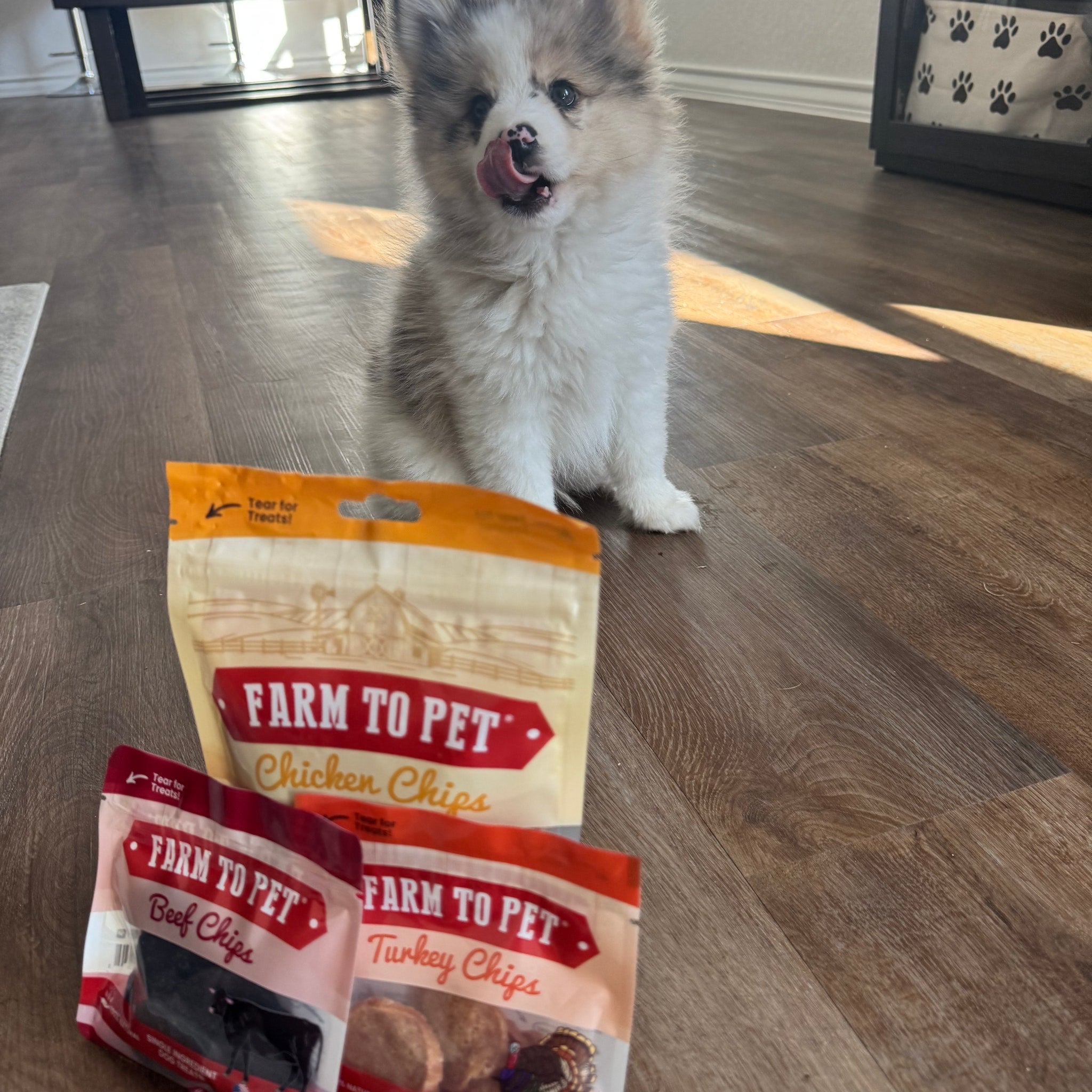 Puppy Packs 'n Snacks Dog Treat Starter Pack | Single-Ingredient Training Treats - MaisonBeach
