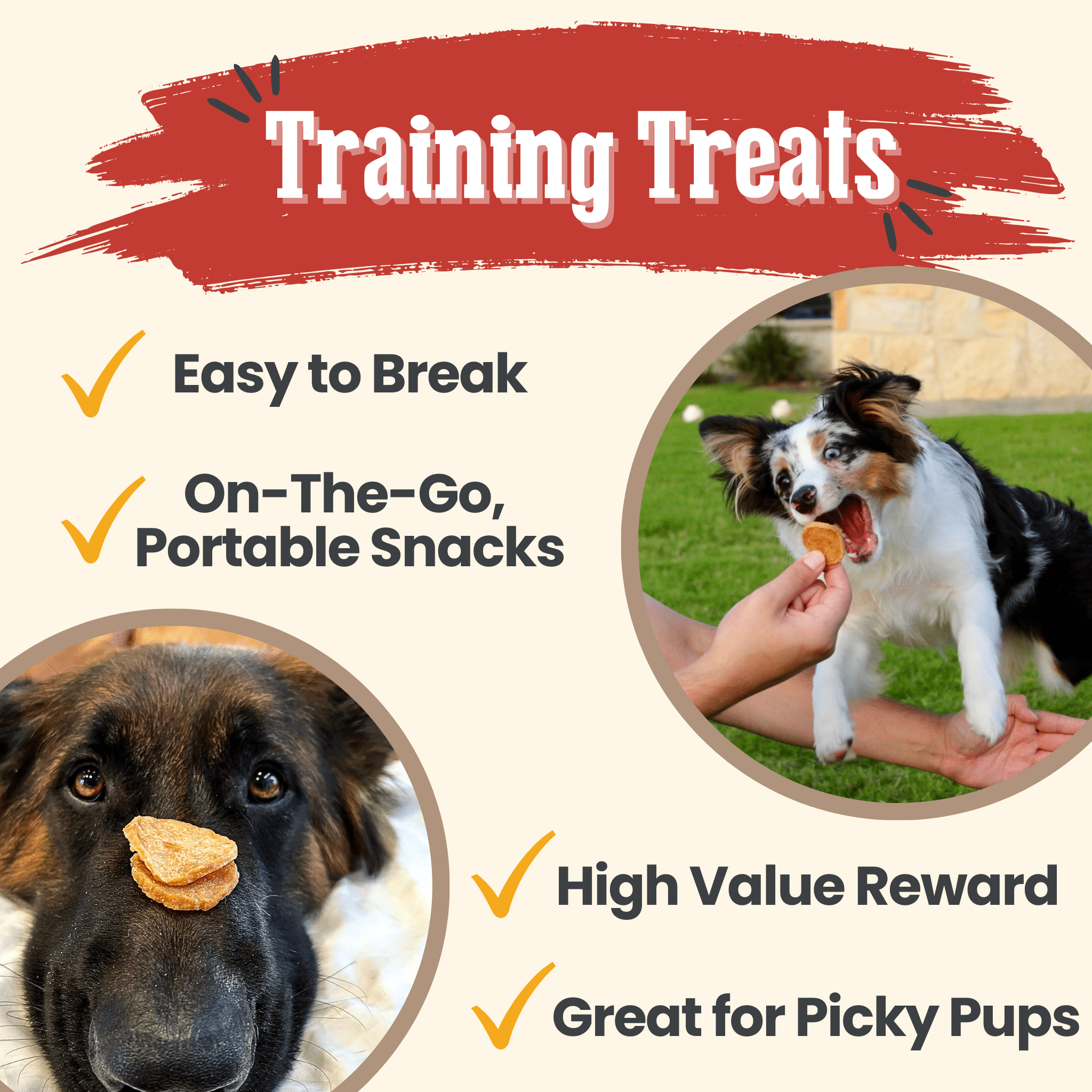 Chicken Chips for Dogs | All-Natural Single-Ingredient Dog Treats - MaisonBeach