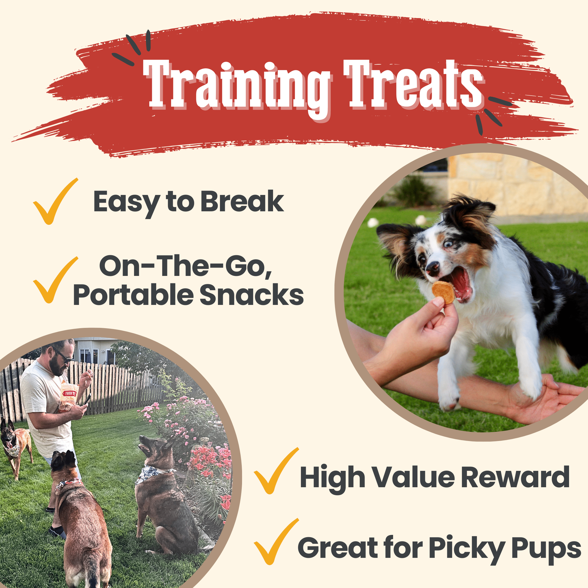 Chicken Chips for Dogs | All-Natural Single-Ingredient Dog Treats - MaisonBeach