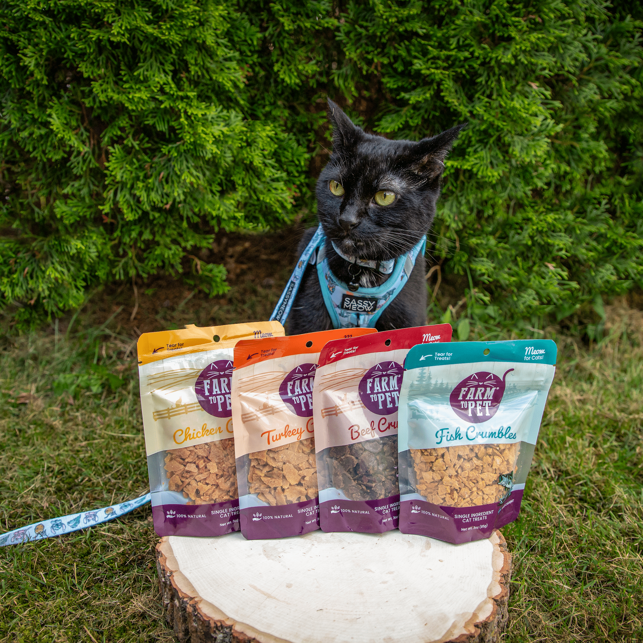 Beef Crumbles Cat Treats | High Protein Treats for Cats - MaisonBeach