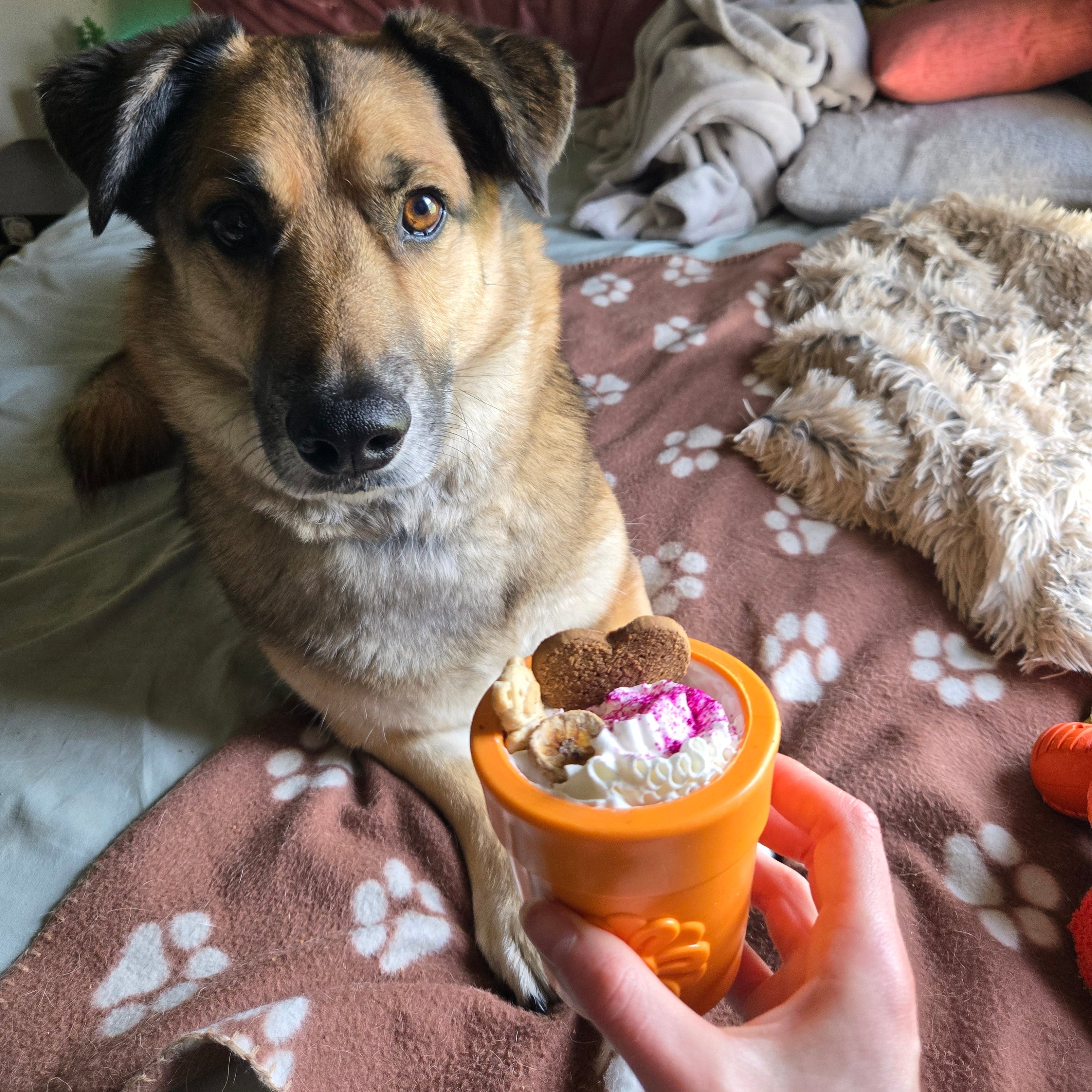 Dog Treat Dispensers - MaisonBeach