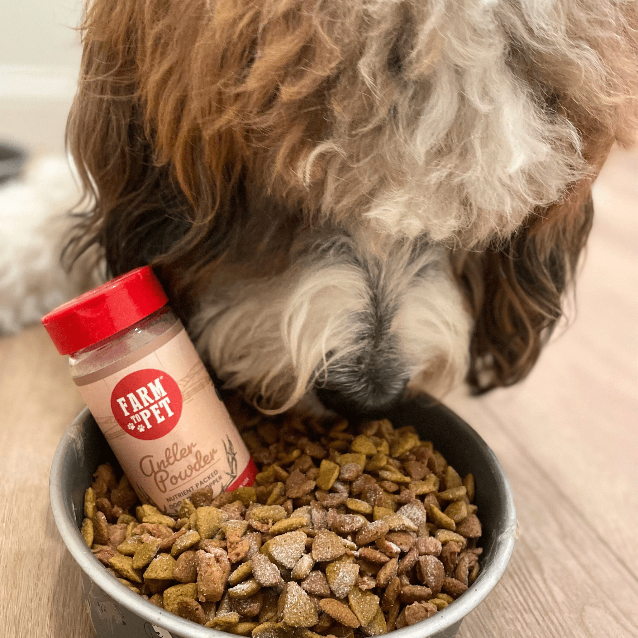Treat Topper Antler Powder Dog Food Topper | Nutritional Supplement for Dogs and Cats - MaisonBeach