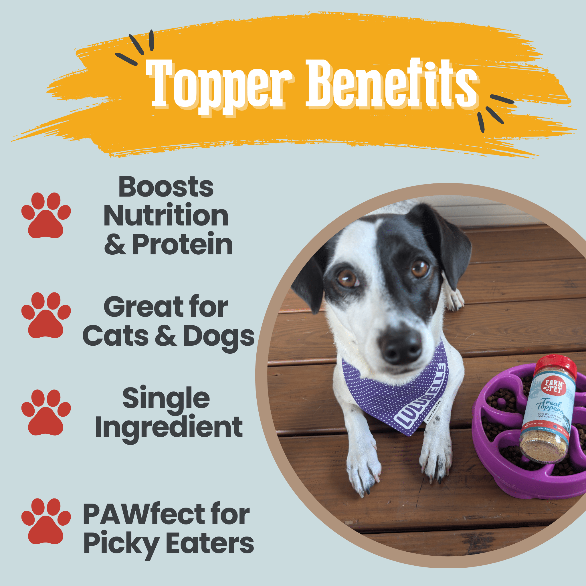 Treat Topper Fish Dog Food Topper | Low-Fat Meal Topper for Pets - MaisonBeach