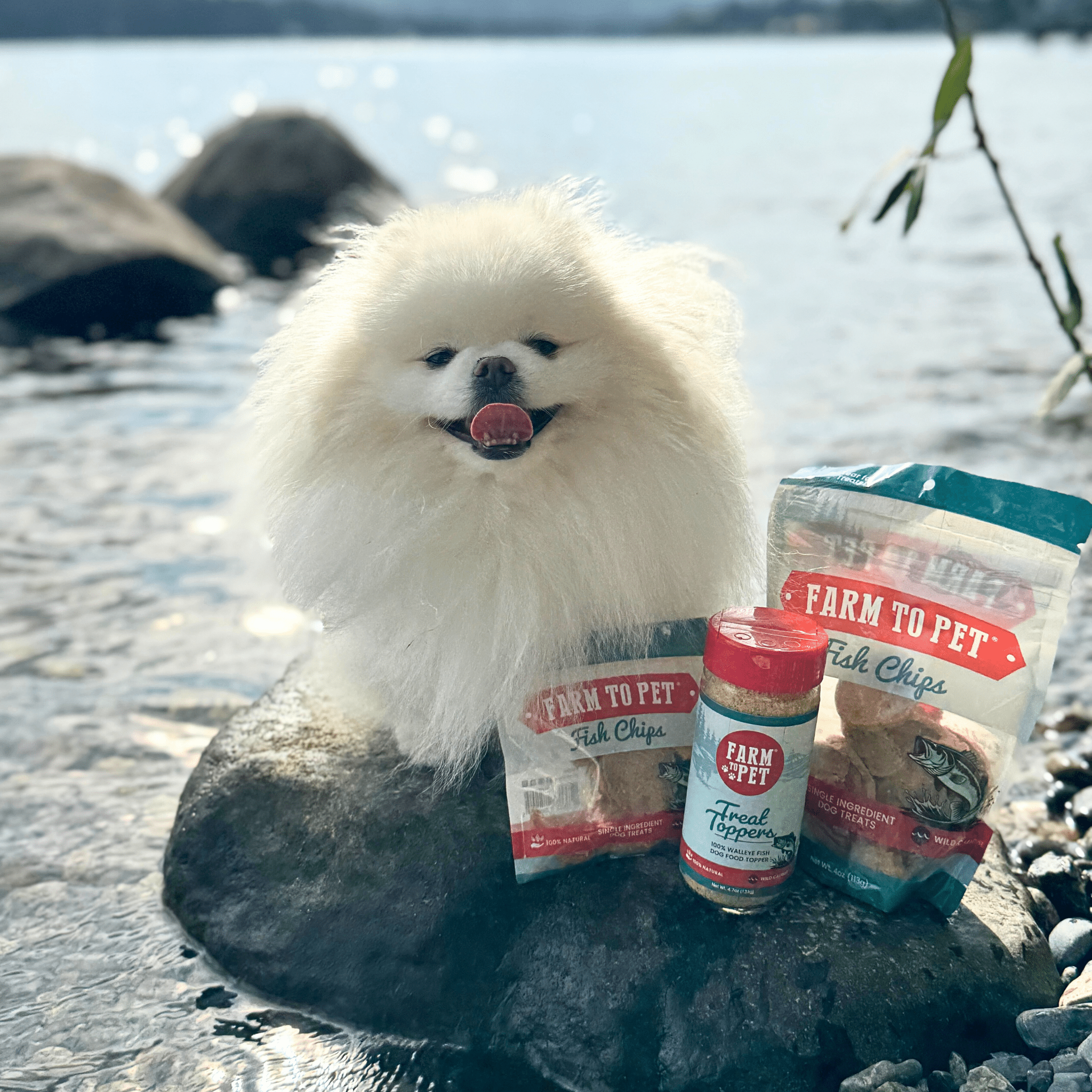 Treat Topper Fish Dog Food Topper | Low-Fat Meal Topper for Pets - MaisonBeach