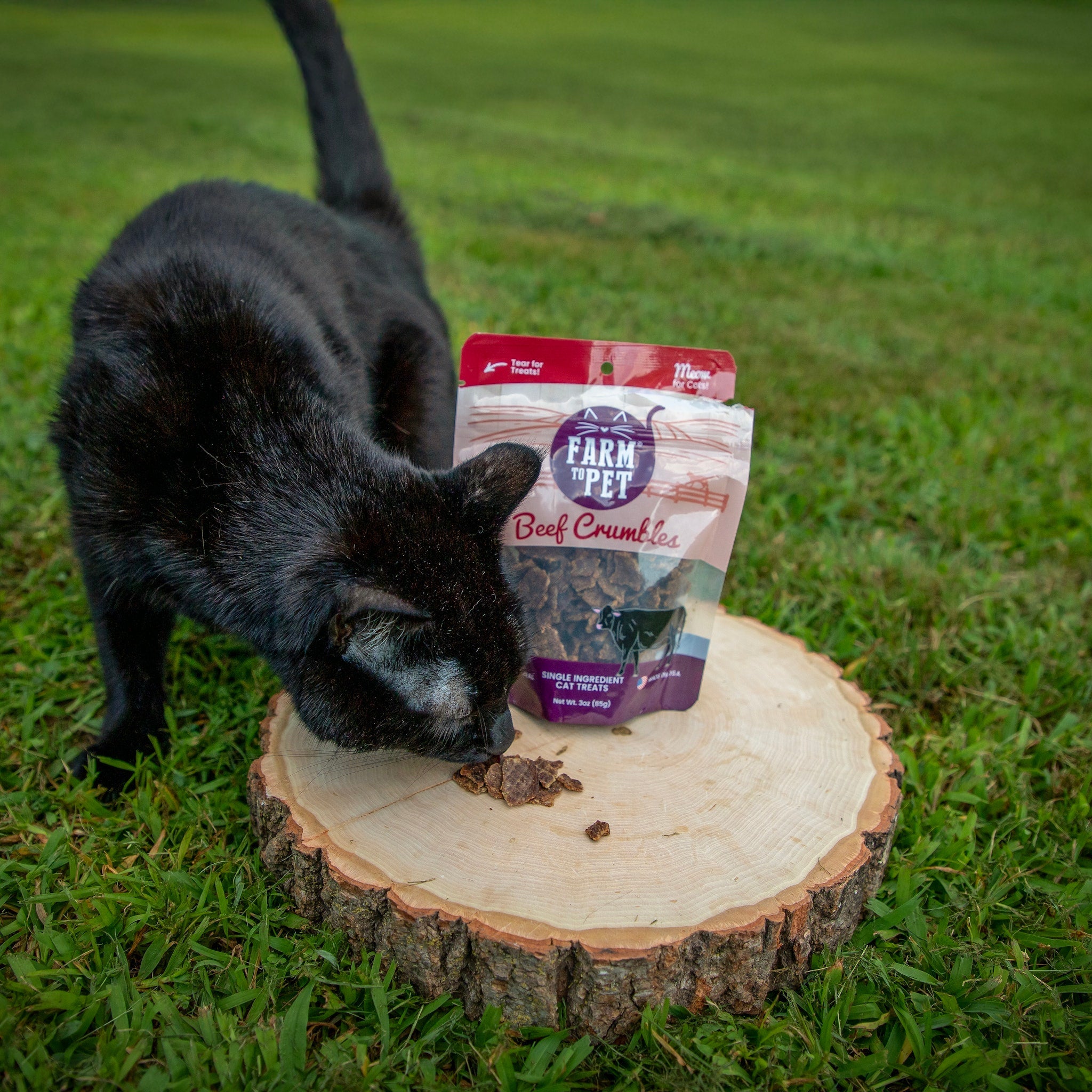 Beef Crumbles Cat Treats | High Protein Treats for Cats - MaisonBeach