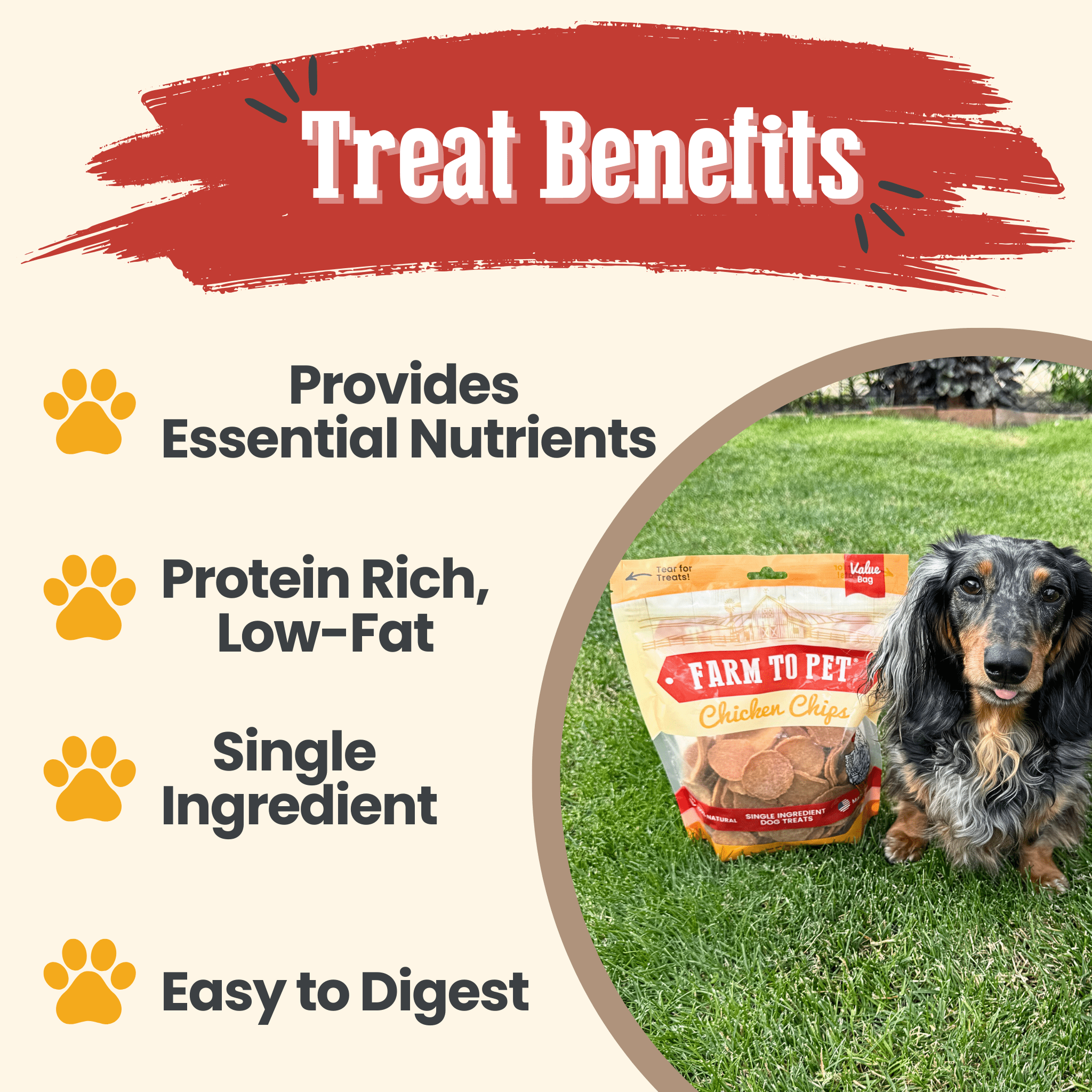 Chicken Chips for Dogs | All-Natural Single-Ingredient Dog Treats - MaisonBeach