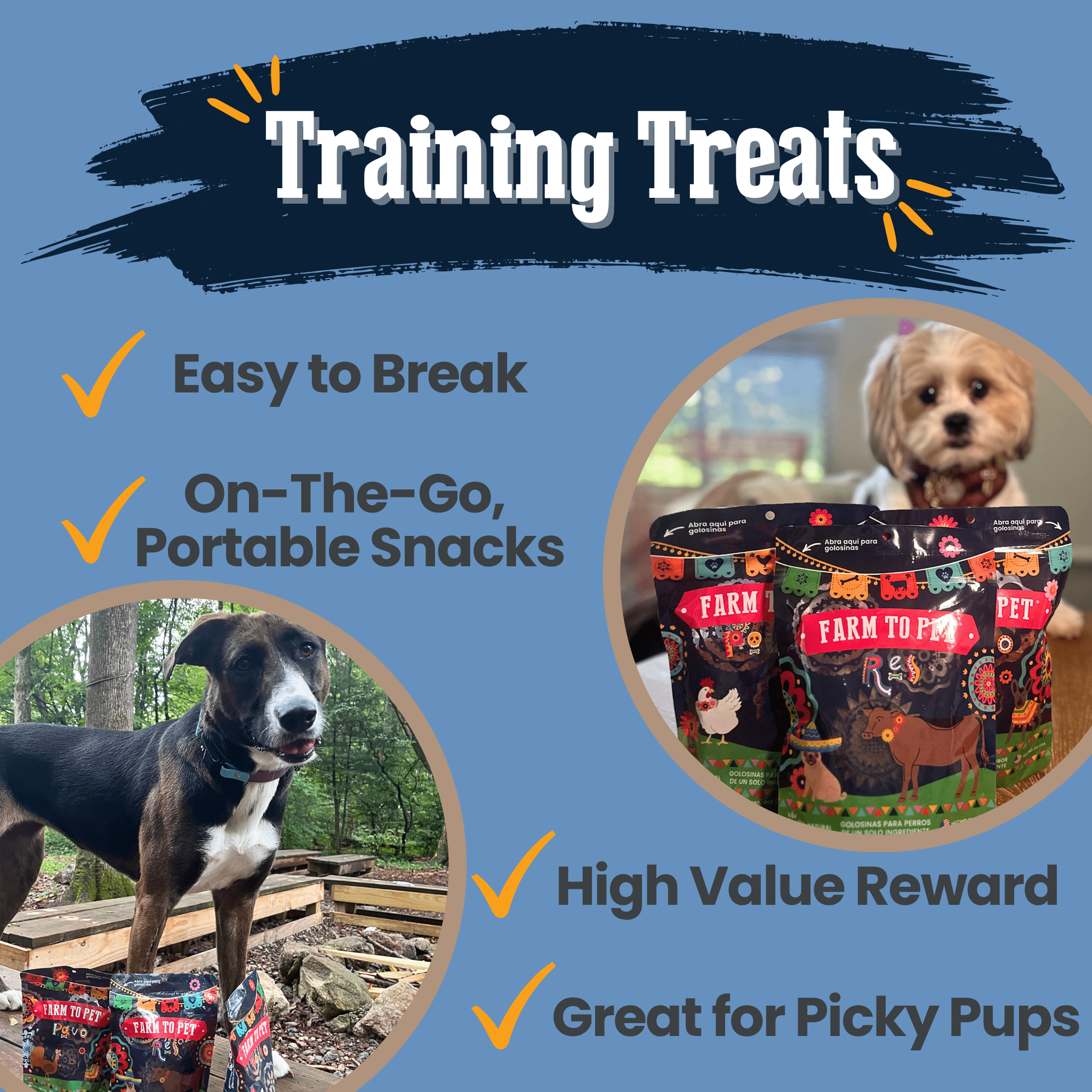Premios Para Perros Fiesta Pack | Dog Treat Variety Bundle - MaisonBeach